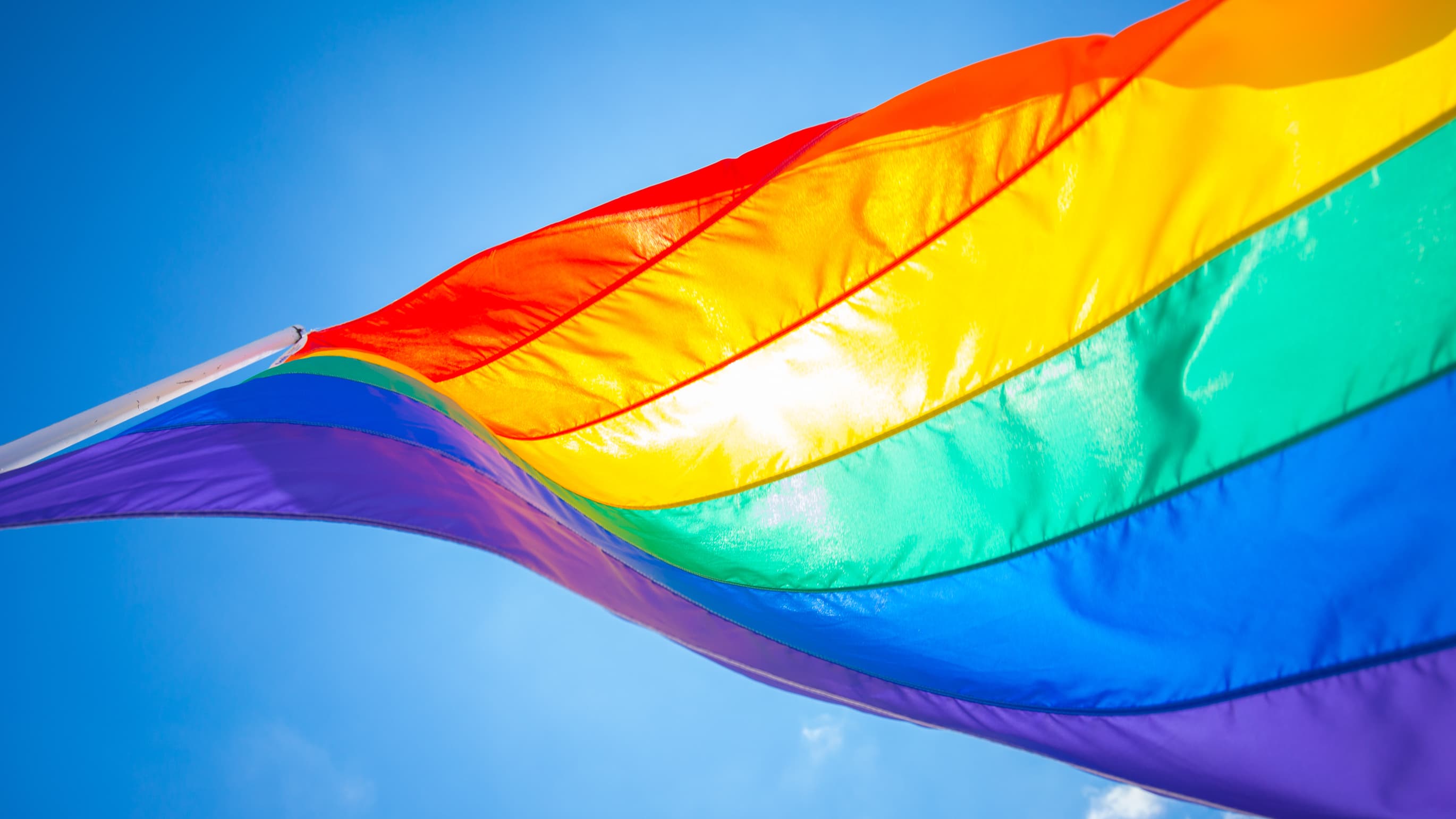 Next steps in the LGBT+ student experience