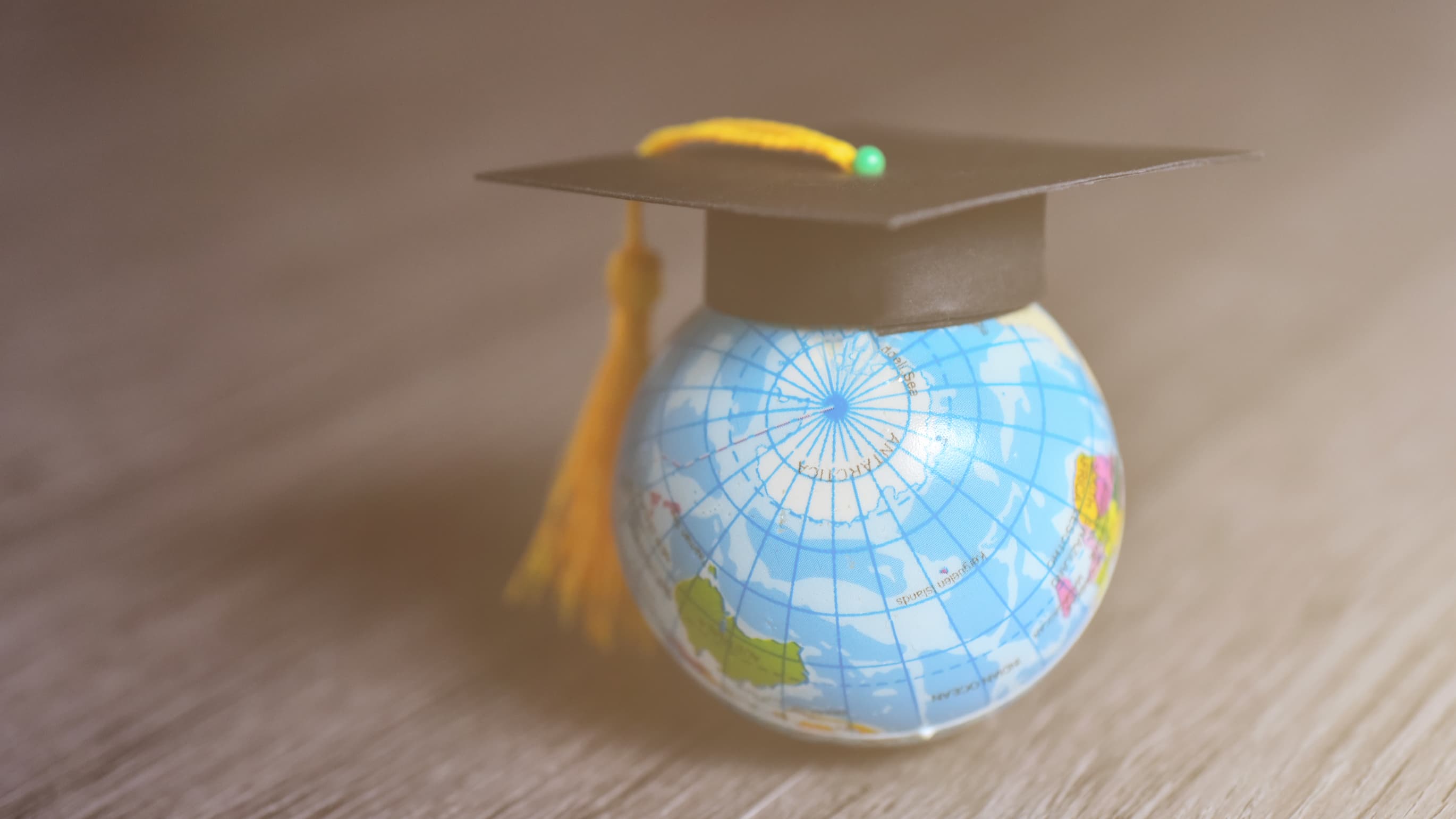 What are prospective international students saying about September?
