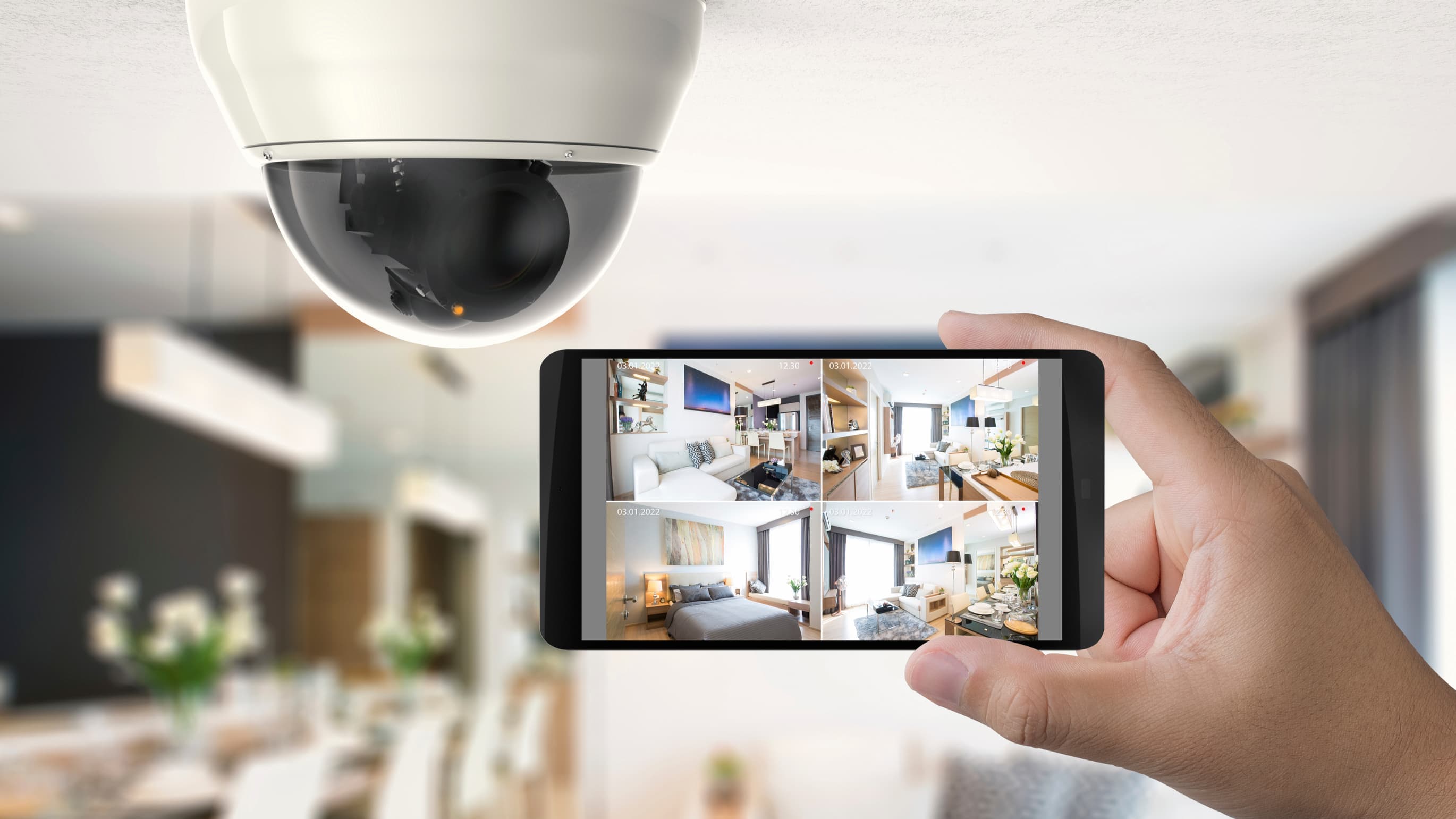 Essential welfare intervention or surveillance state?