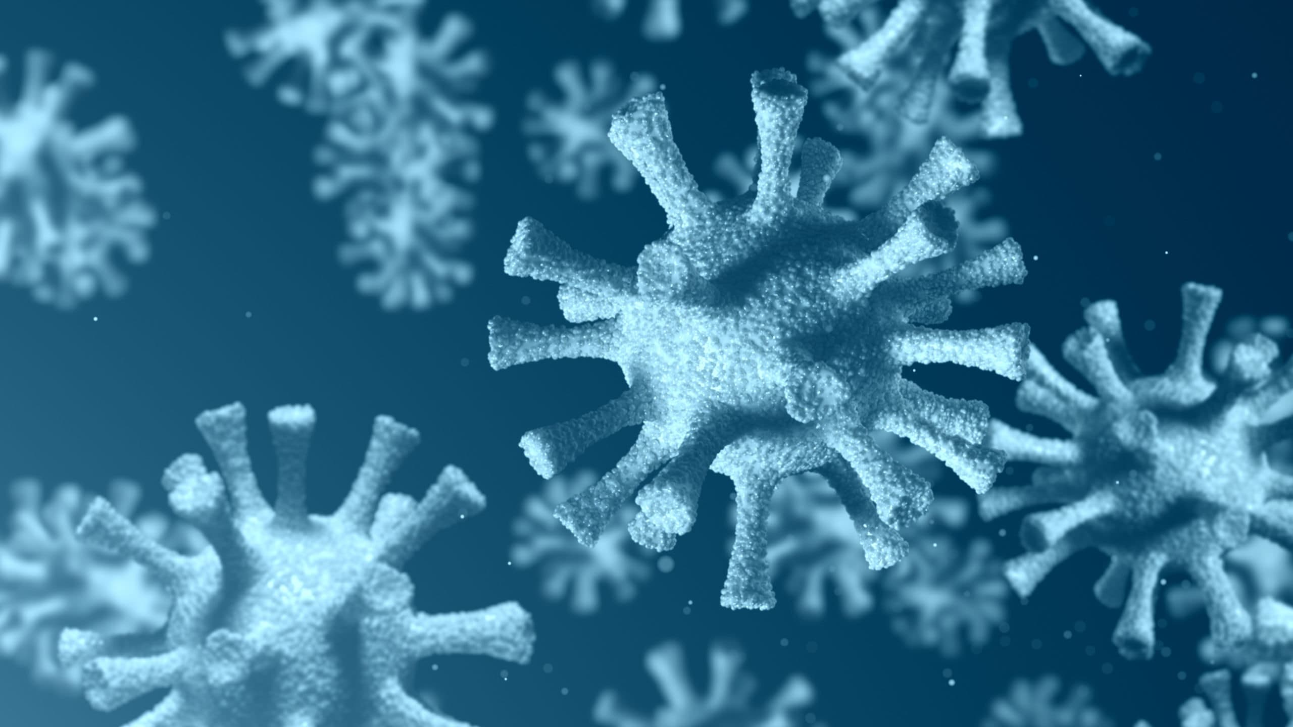 Student rights and Covid-19: OIA on complaints during the pandemic