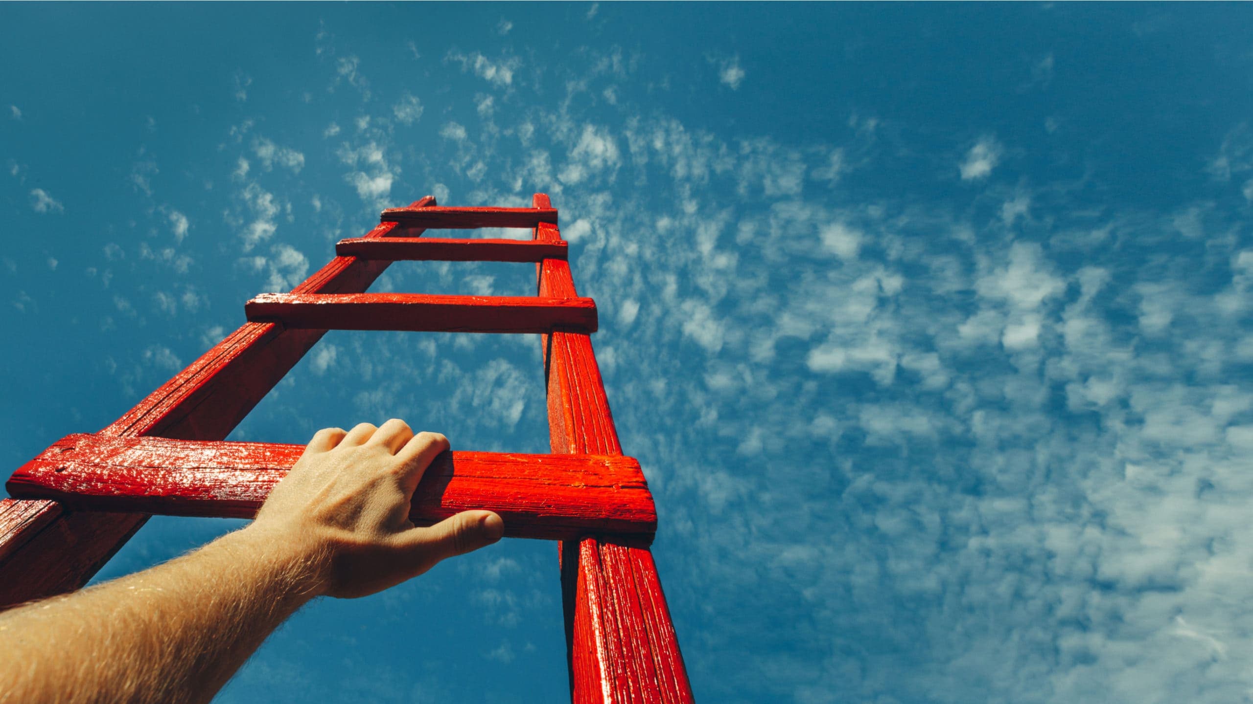What bespoke support should be in place for disadvantaged students during the crisis?
