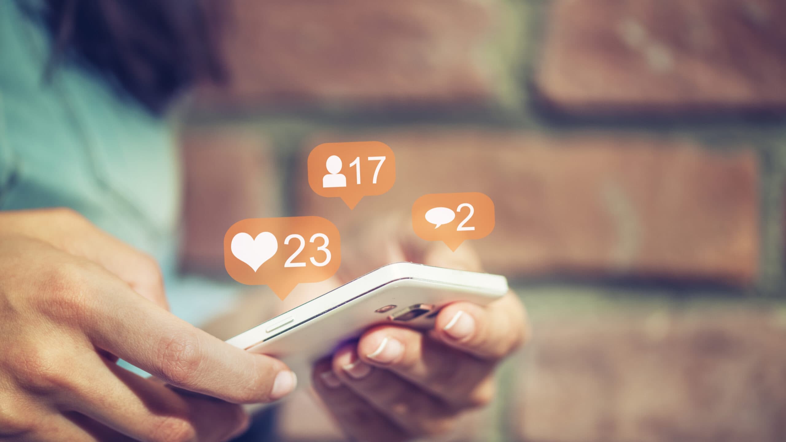 Can social networks be used as an educational resource?
