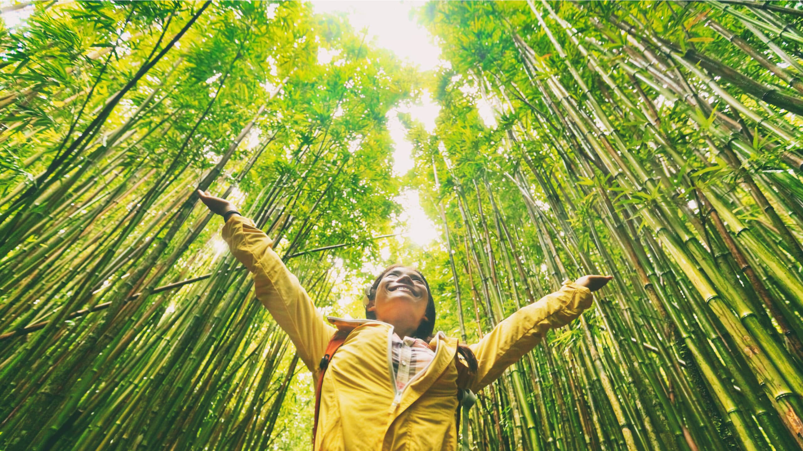 Students want sustainability skills from their higher educattion