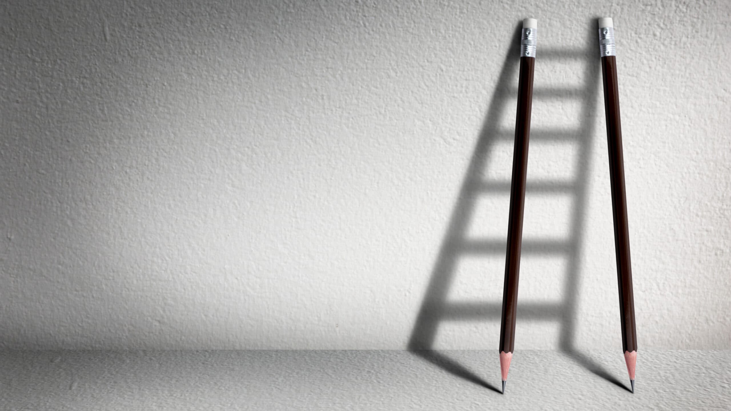 Business students’ thinking about their studies and future careers