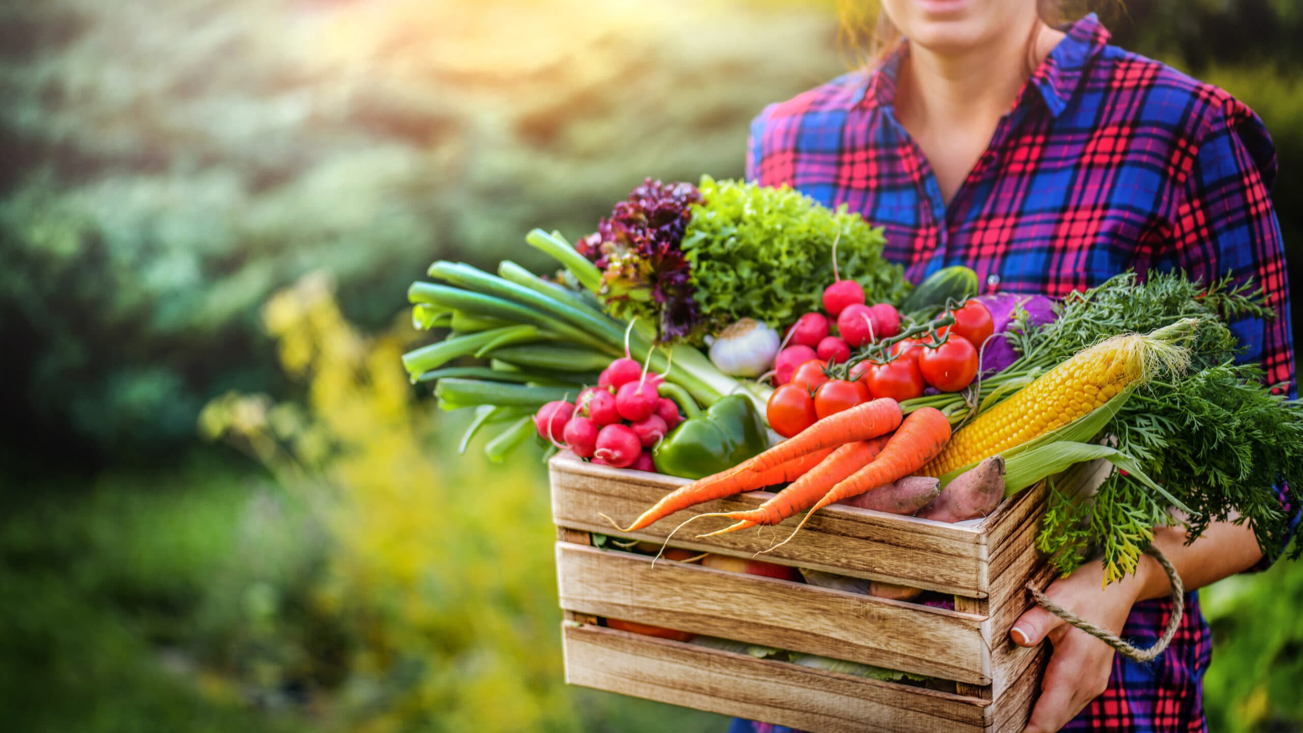 How to persuade students to live healthy