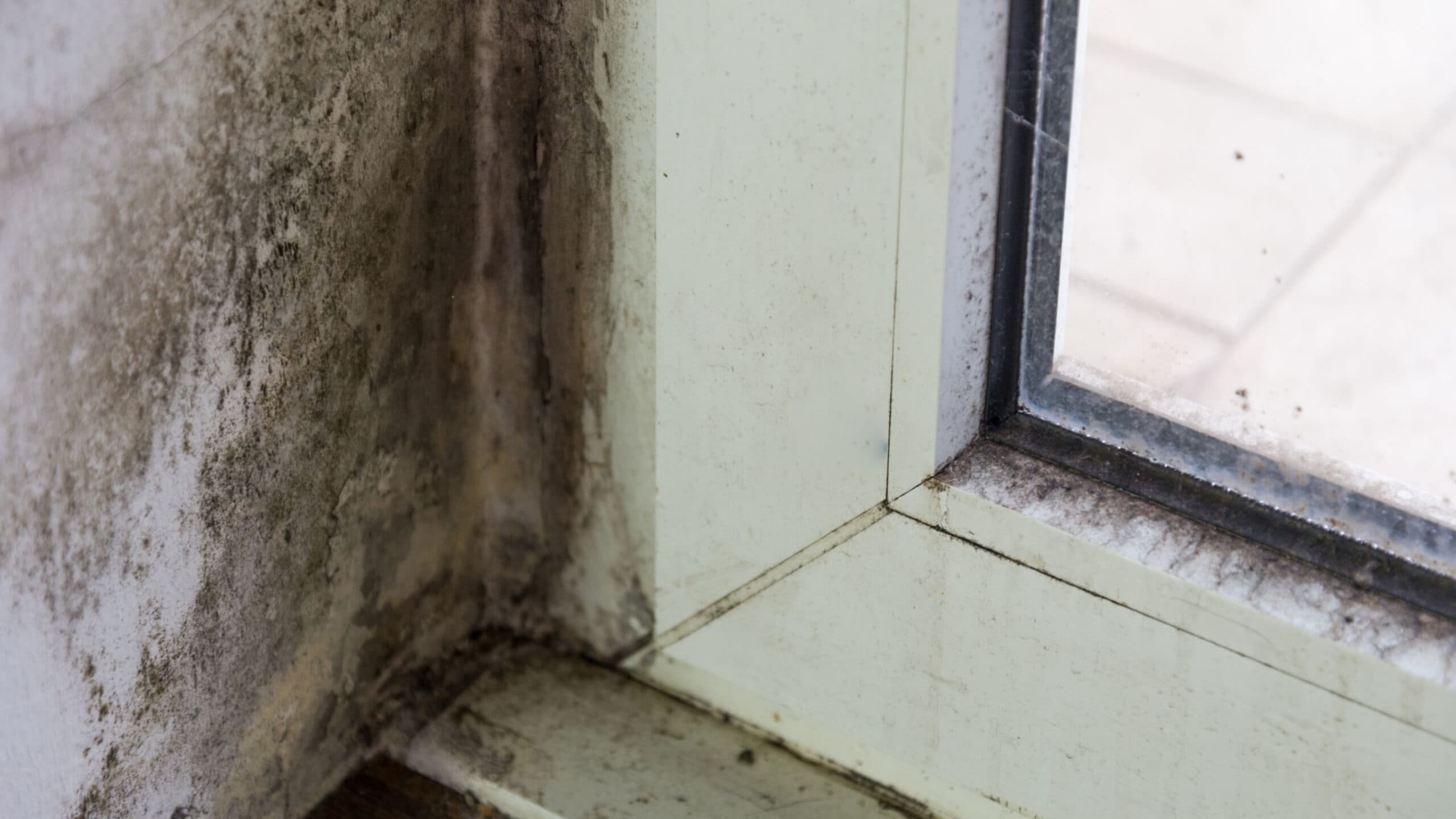 Rental reform is coming – what should SUs do next?