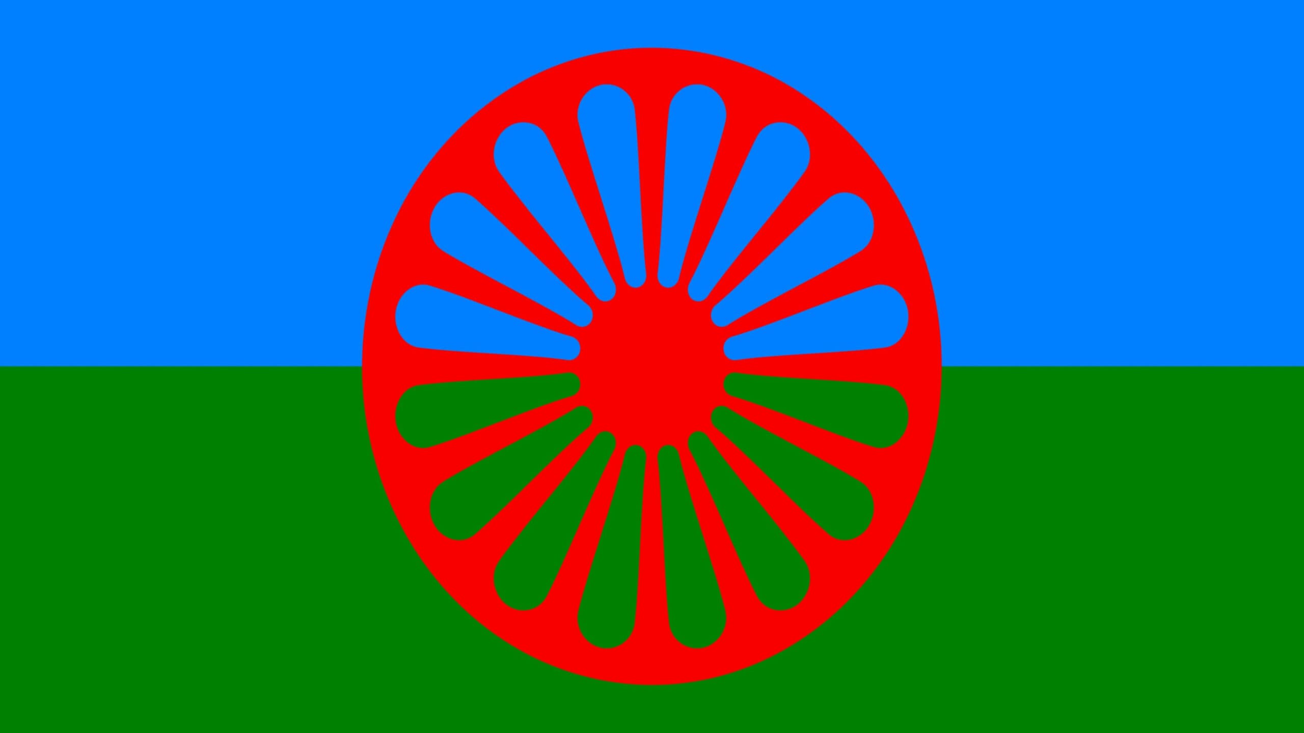 Gypsy, traveller, roma, showman and boater students in higher education