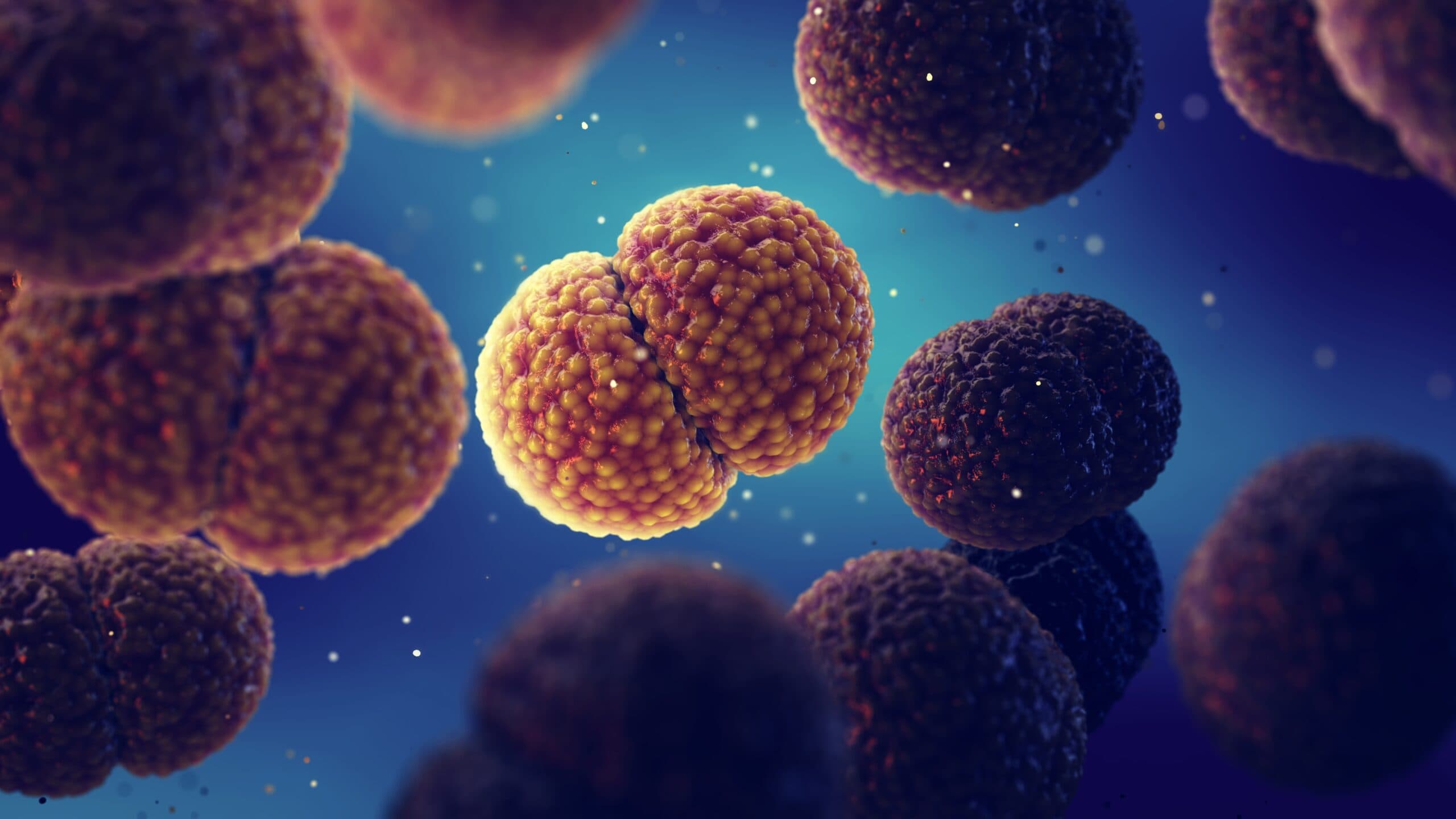 Meningitis outbreak at Kent – what SUs need to know