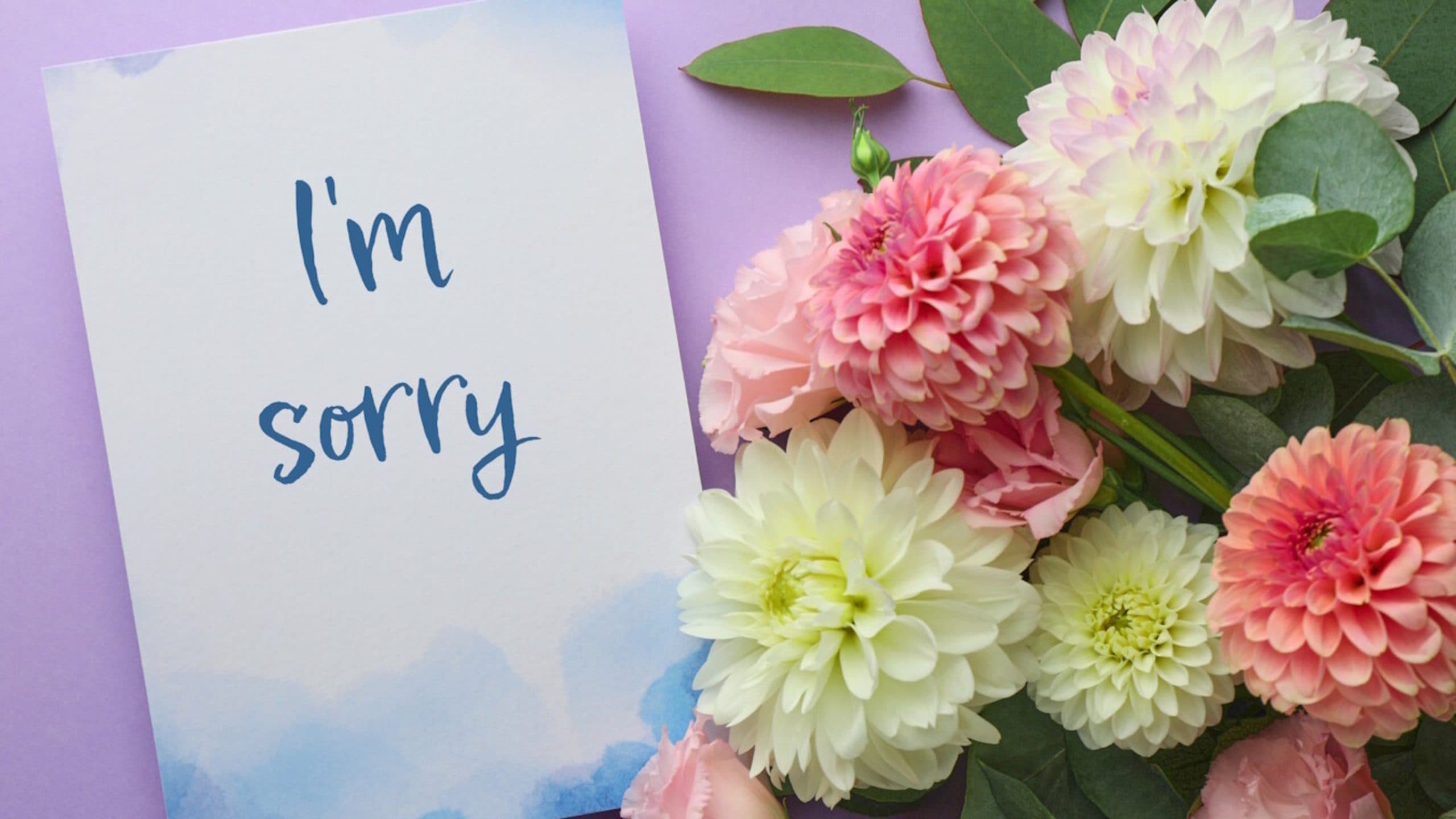 Purple background with some flowers to the right and a card that says "I'm sorry"
