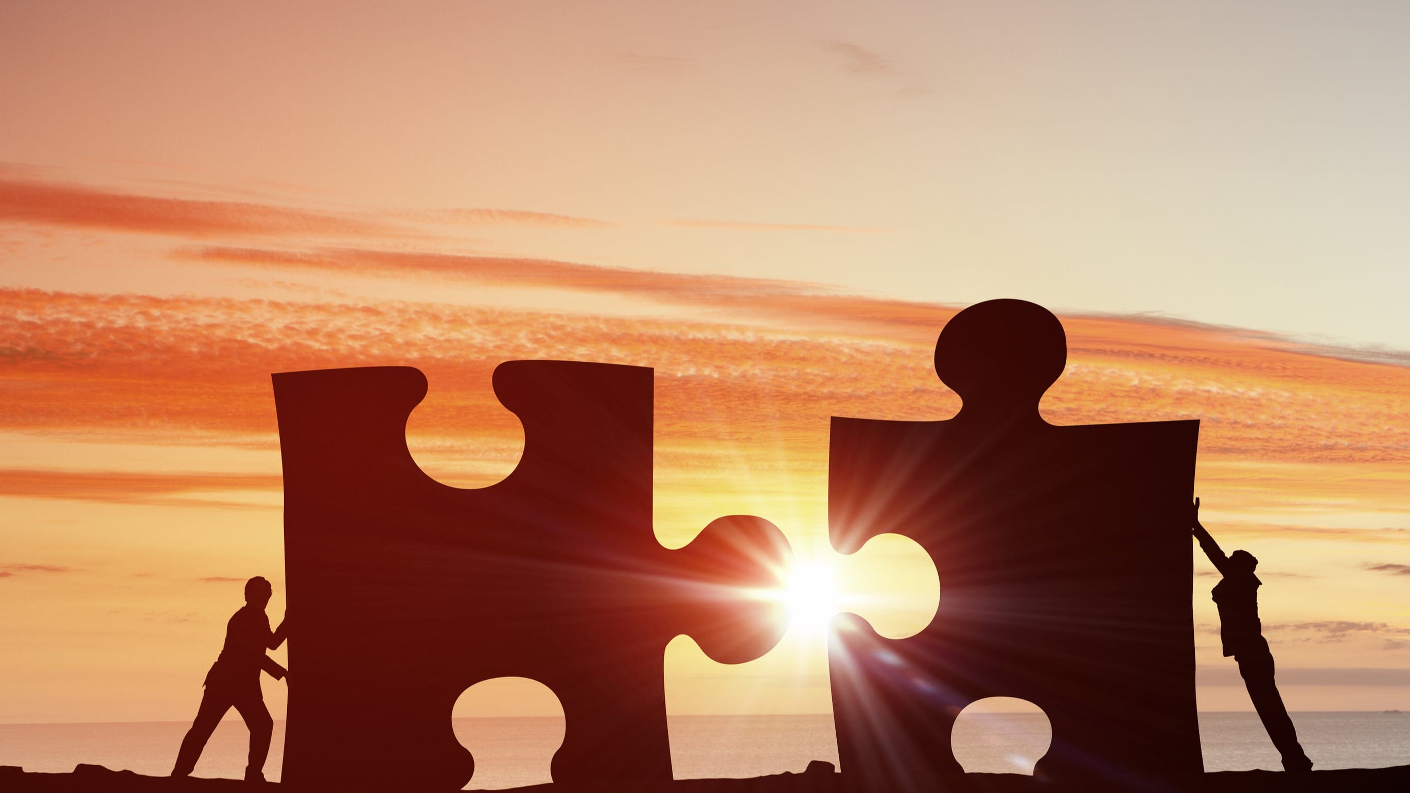 What would an “assertive” partnership with a university look like?