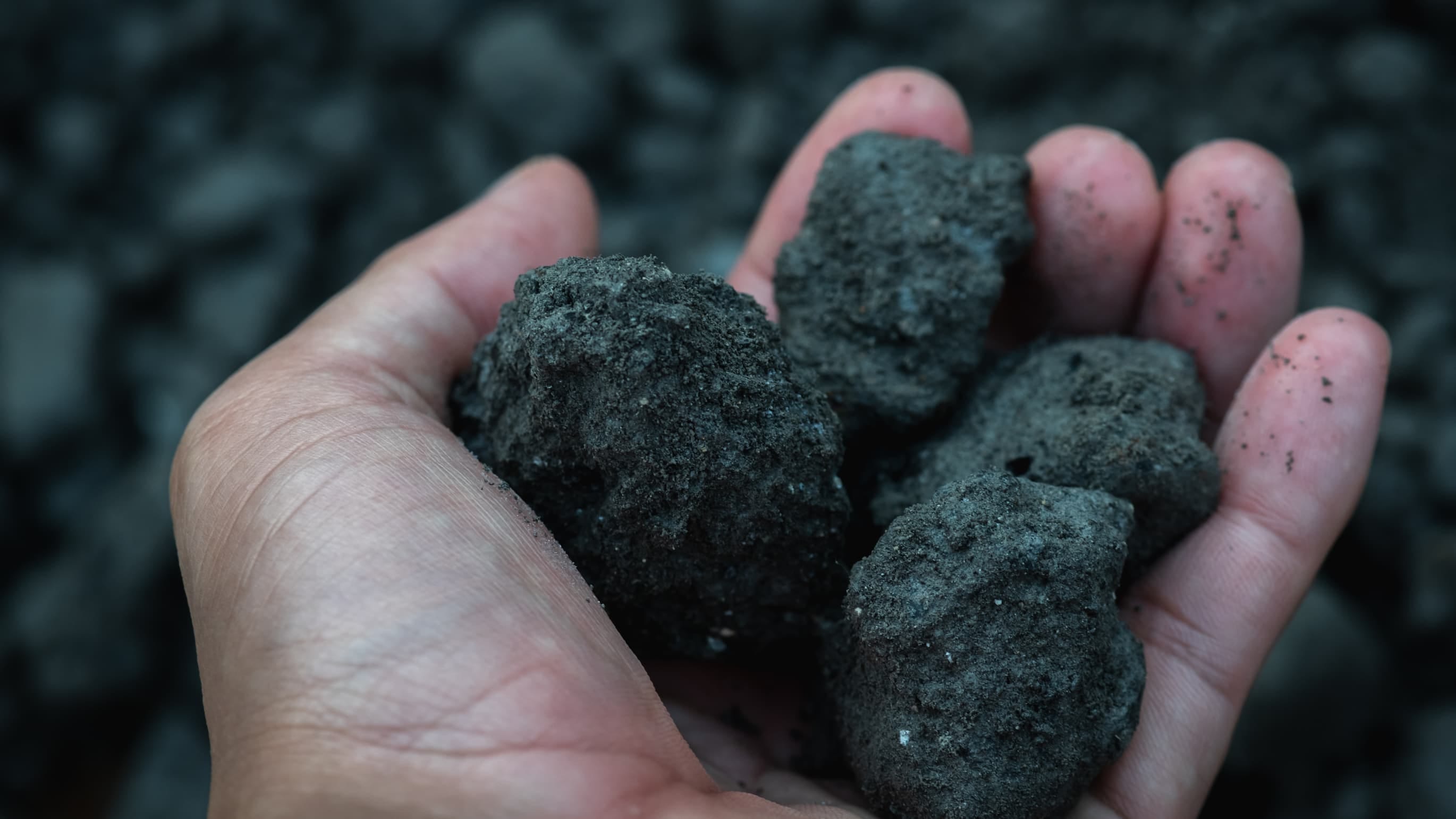 Divestment commitments are fine – but what about the policy?