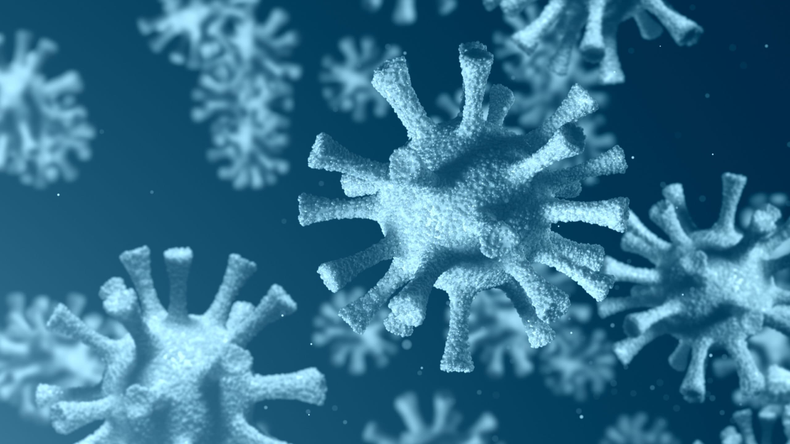 Student rights and Covid-19: OIA on complaints during the pandemic