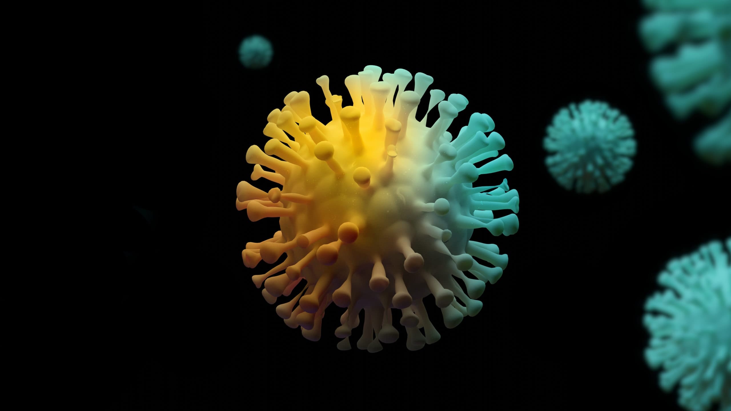 Coronavirus and protecting students’ interests