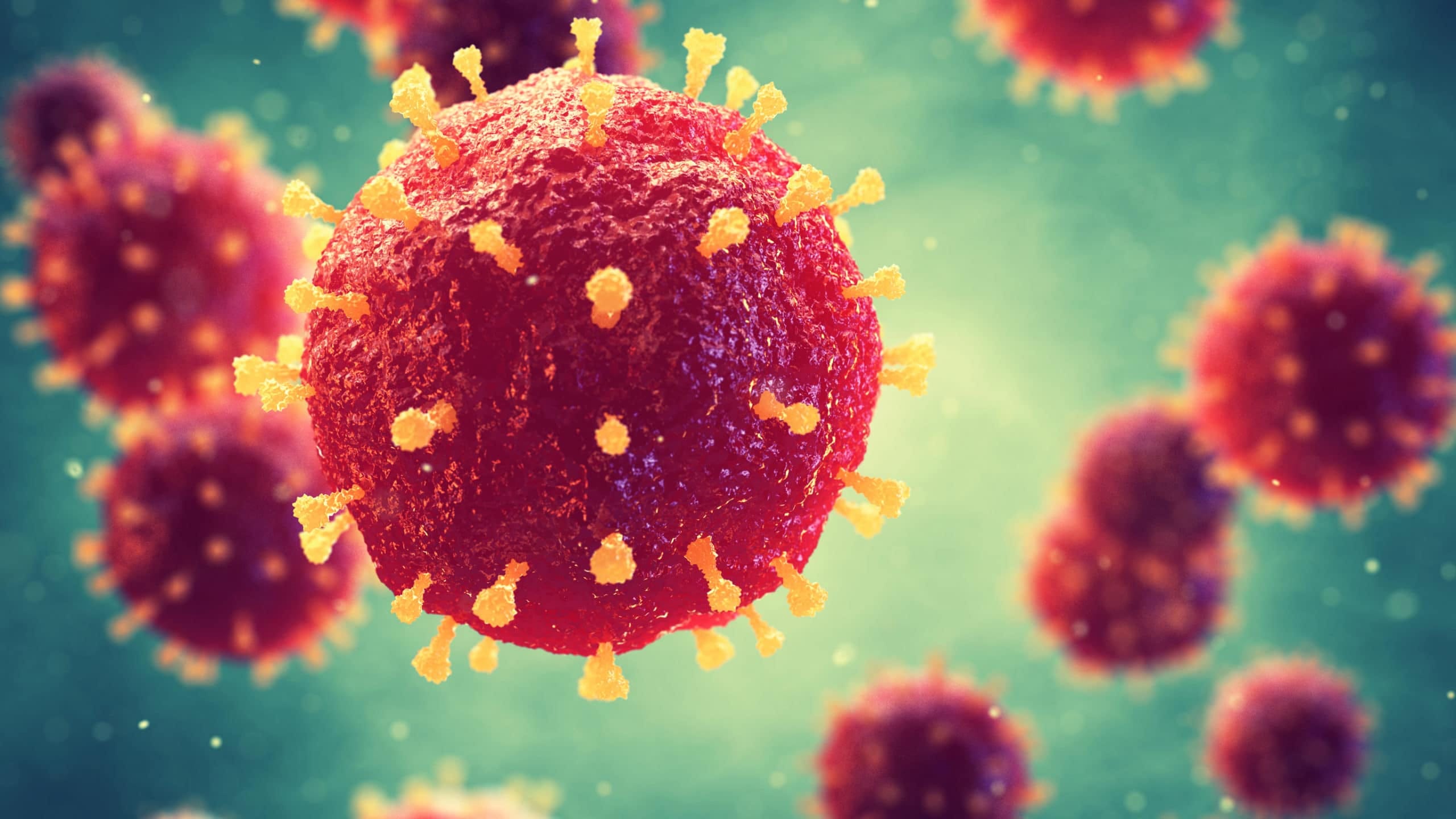 What are universities being advised about coronavirus and what are the implications for SUs?