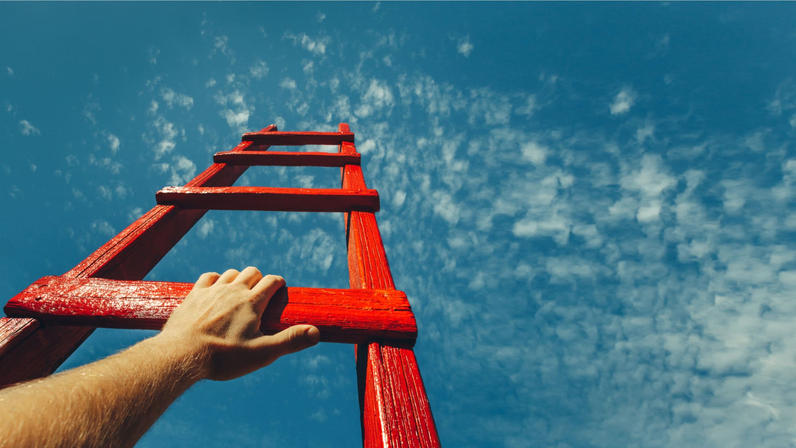 What bespoke support should be in place for disadvantaged students during the crisis?