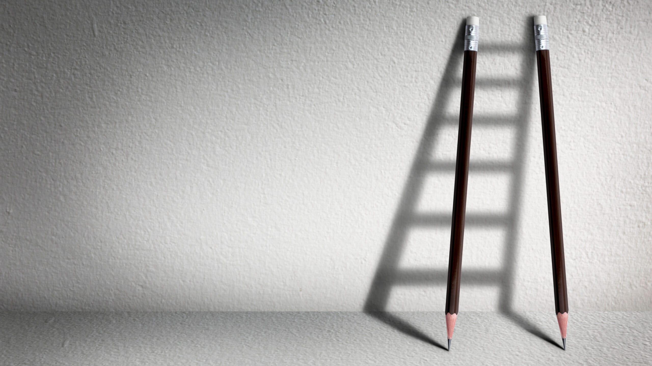 Business students’ thinking about their studies and future careers