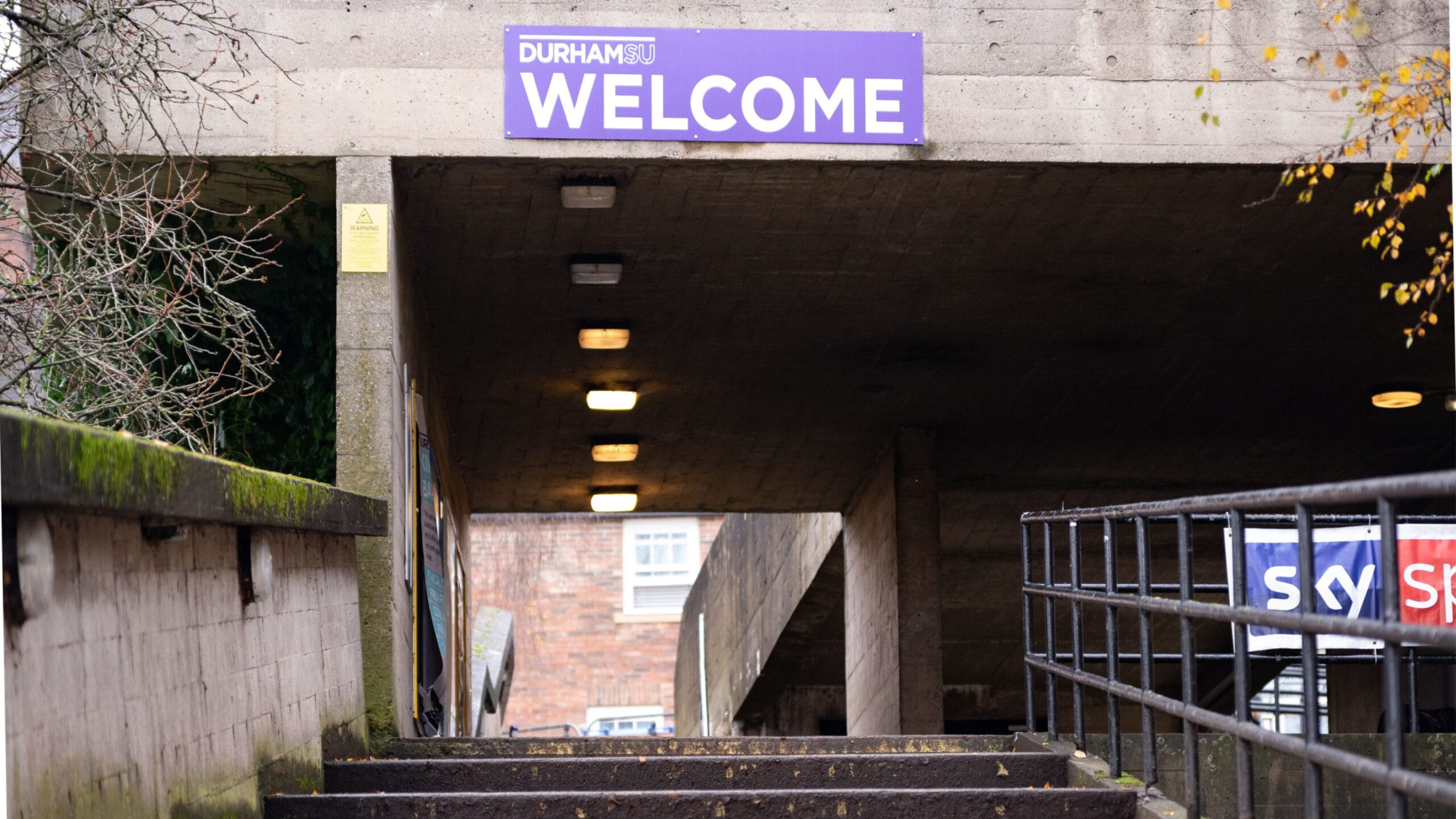To change a university’s culture we need to see it through students’ eyes