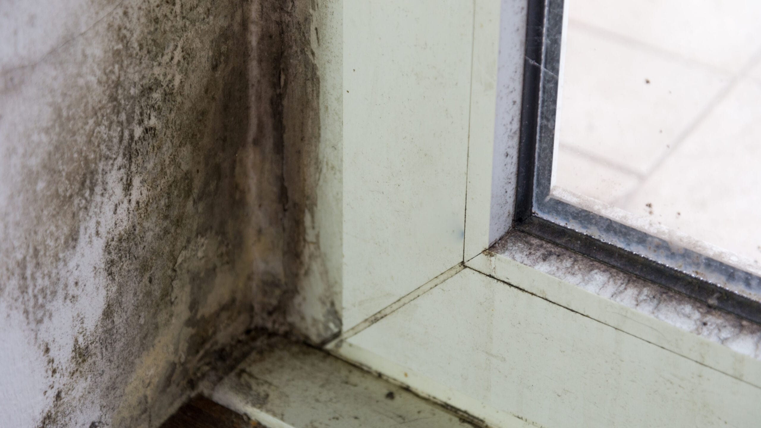 Rental reform is coming – what should SUs do next?