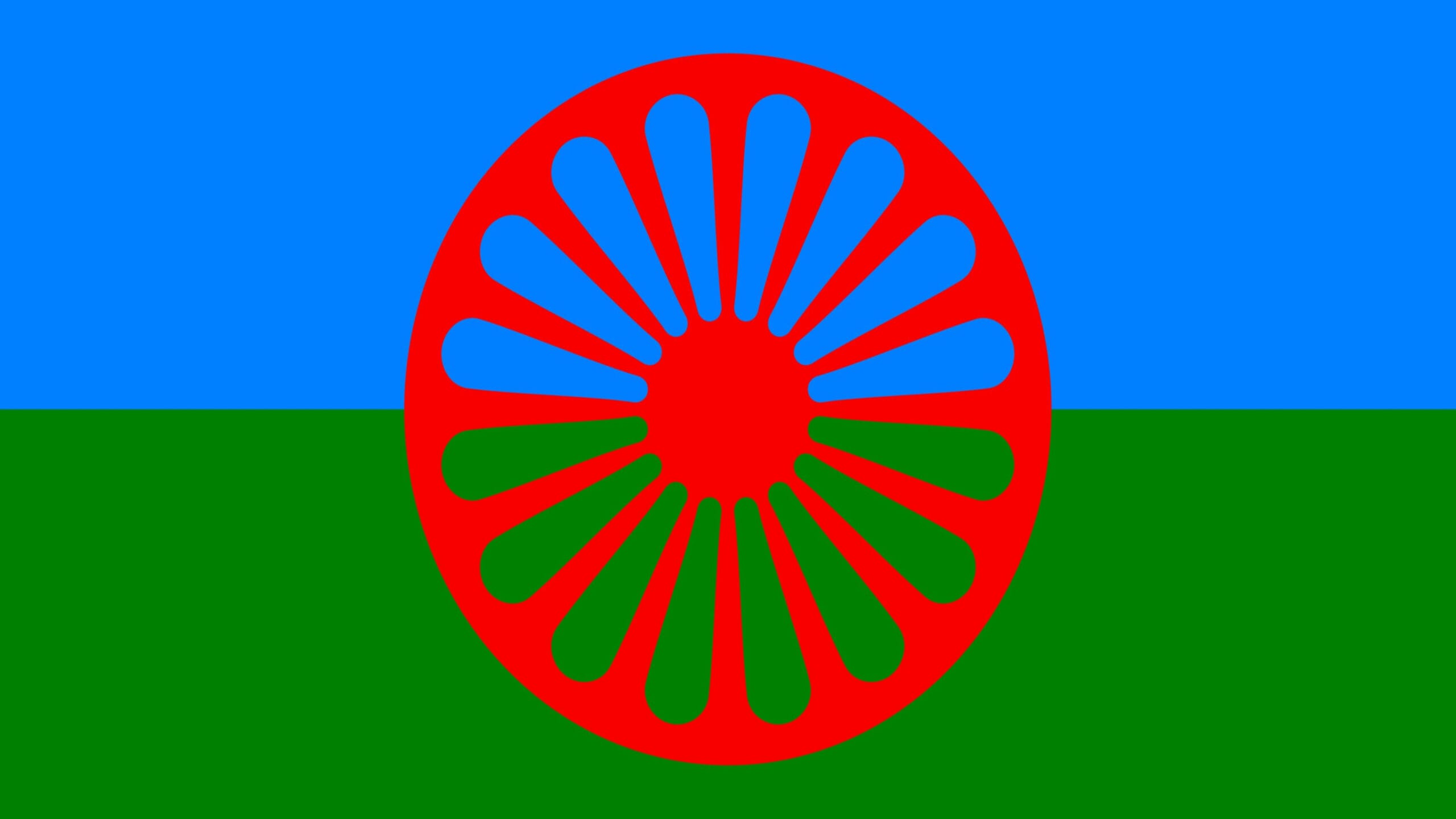 Gypsy, traveller, roma, showman and boater students in higher education