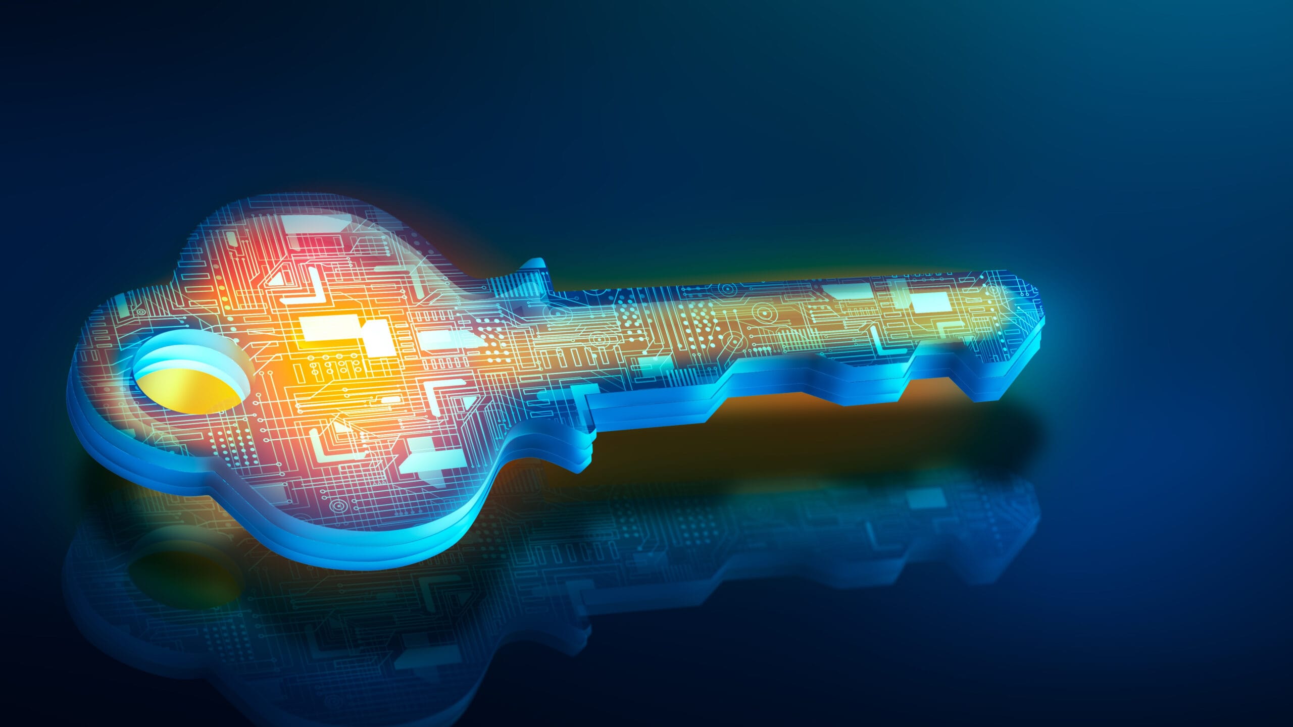 How digital transformation happens at universities