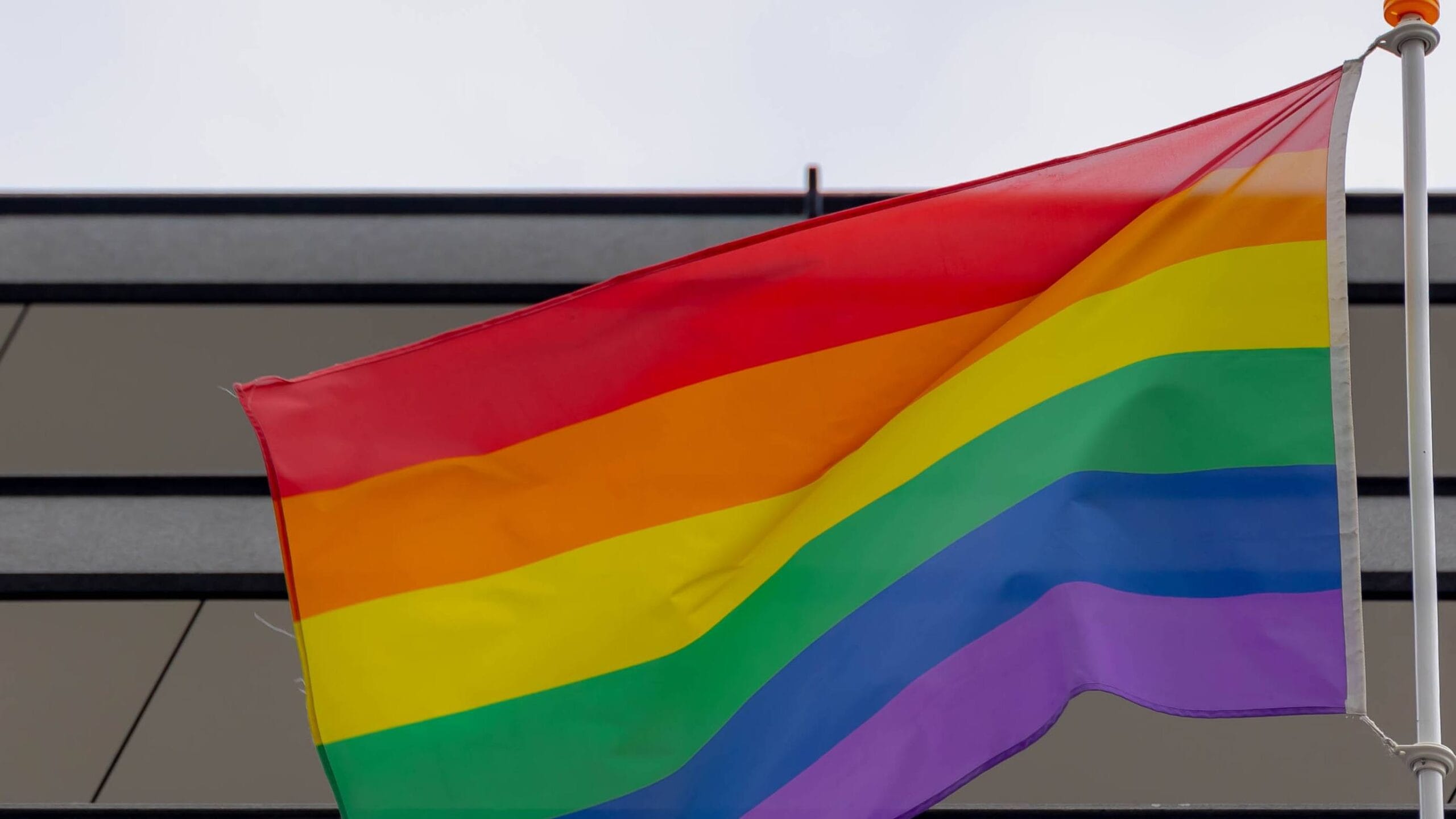 There’s new findings on the LGBTQ+ student experience that SUs need to know