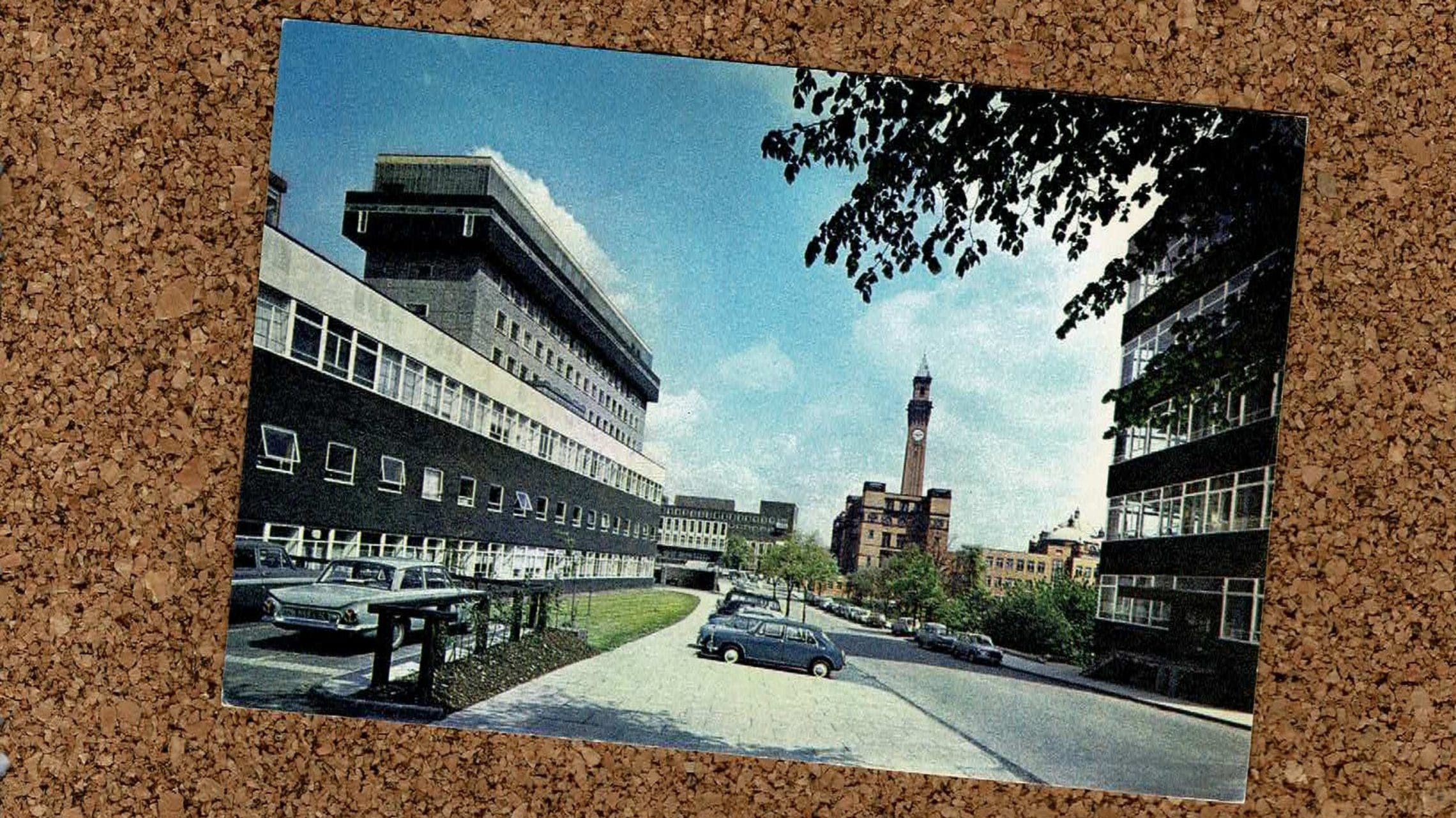 Higher education postcard: Old Joe