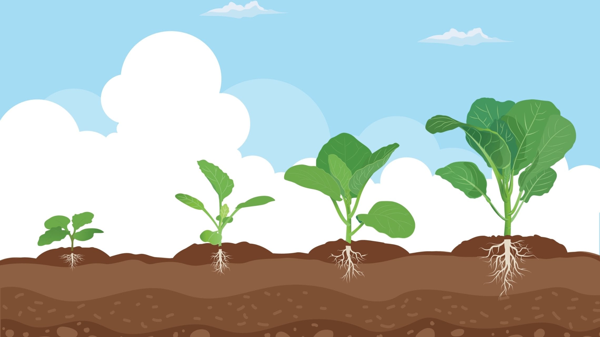 The conditions for good collaboration won’t create themselves