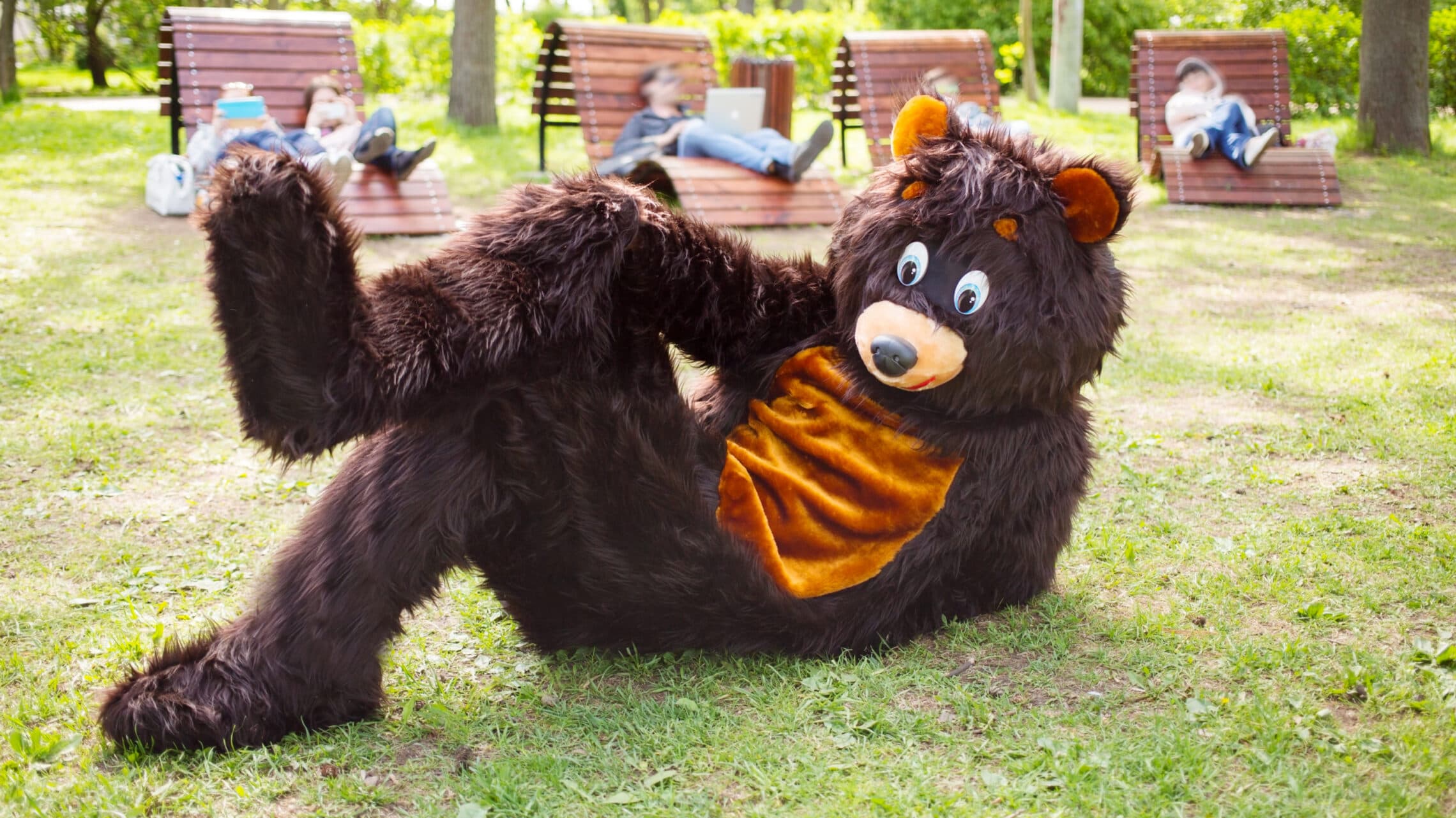 The B3 bear returns to hunt down Mickey Mouse (courses)
