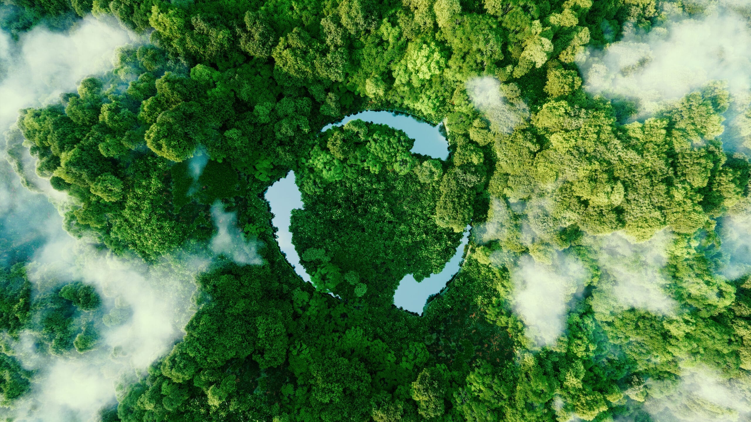 Image shows arial view of forest with three arrows rotating in a circlr