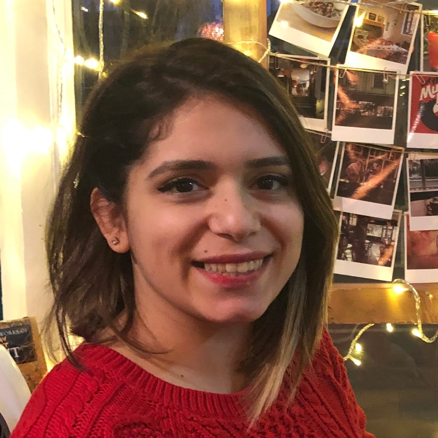 Sevda Ozsezer-Kurnuc