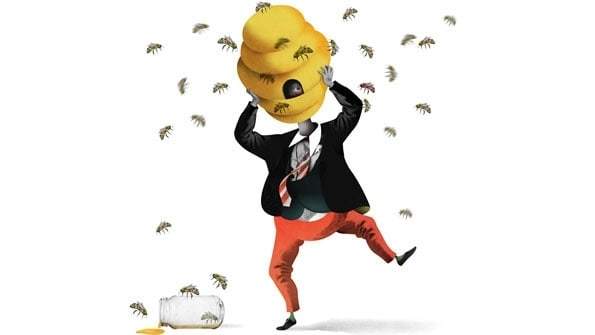 Wonkhe Bee Hive