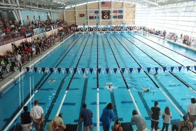 Wonkhe Swimming pool race