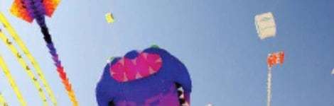 Wonkhe International Agents