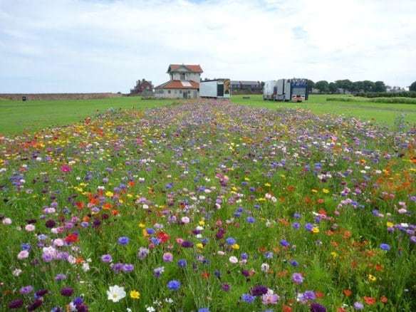 This is the future (we hope)