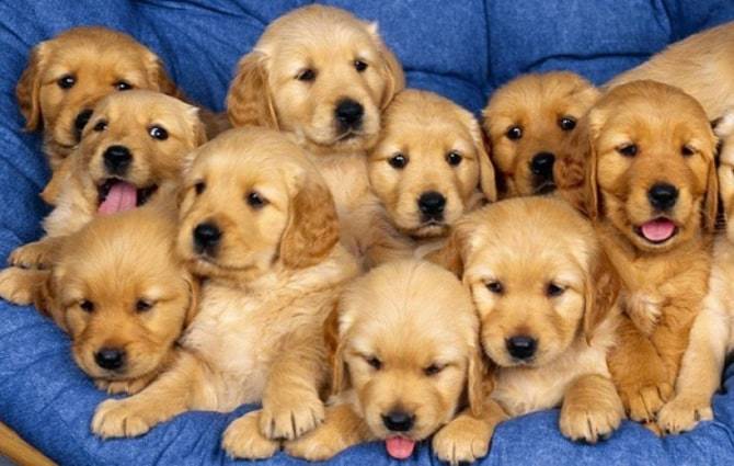 Aww. Aren't they cute? Now I'm ready to face that exam