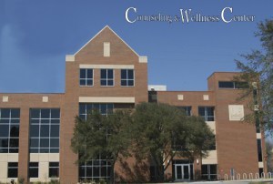 Wonkhe Counselling CWC