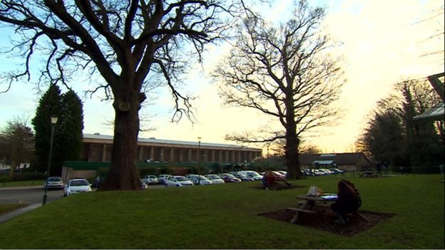 The trees which some seemed to prefer to a £40m Sports Village