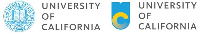 The Changing University Logo 