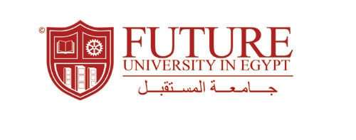 It's not about the Future University in Egypt either