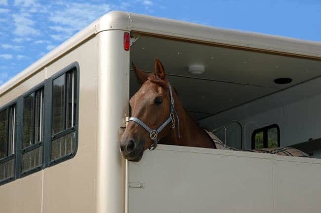 horseBox