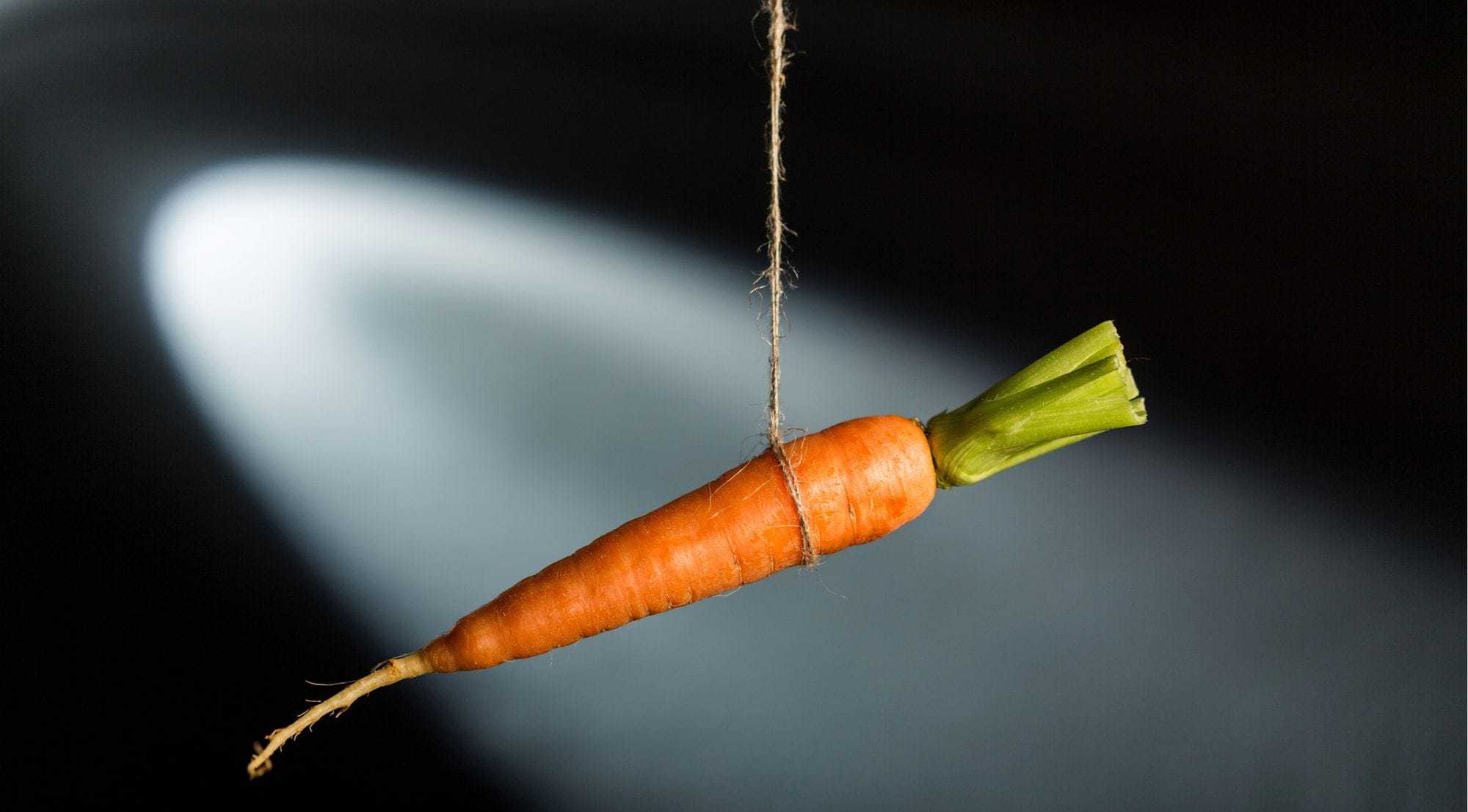 wonkhe-incentive-carrots