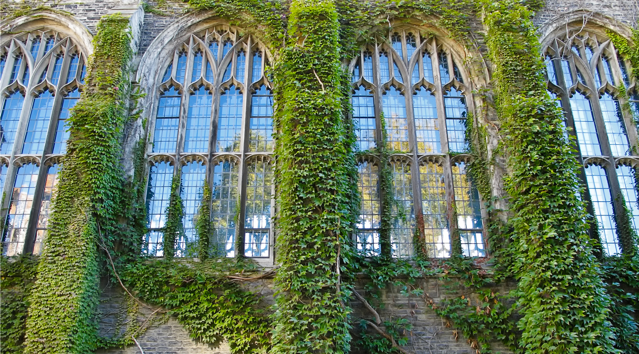 wonkhe-ivy-league-windows