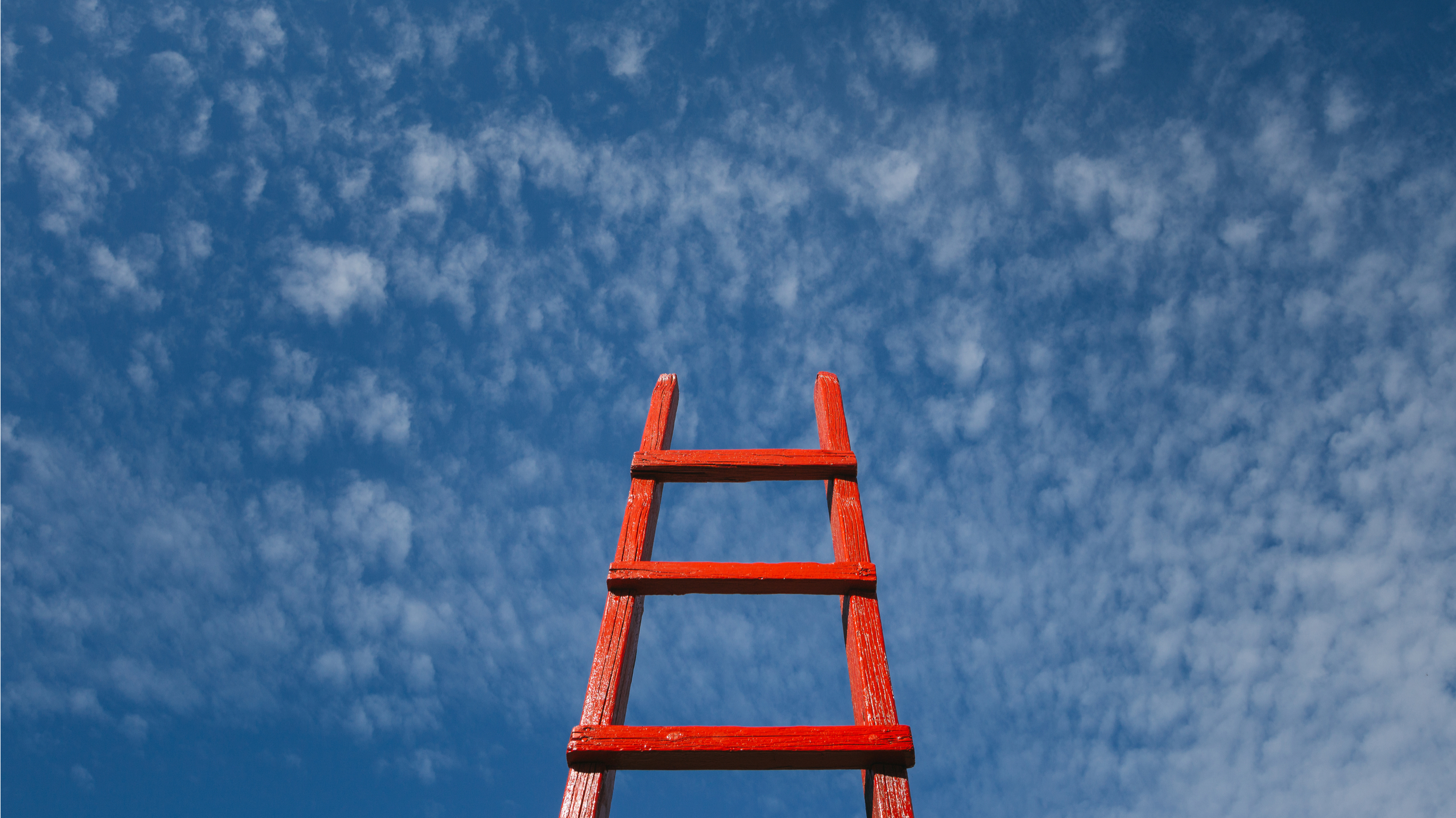 wonkhe-ladder-sky