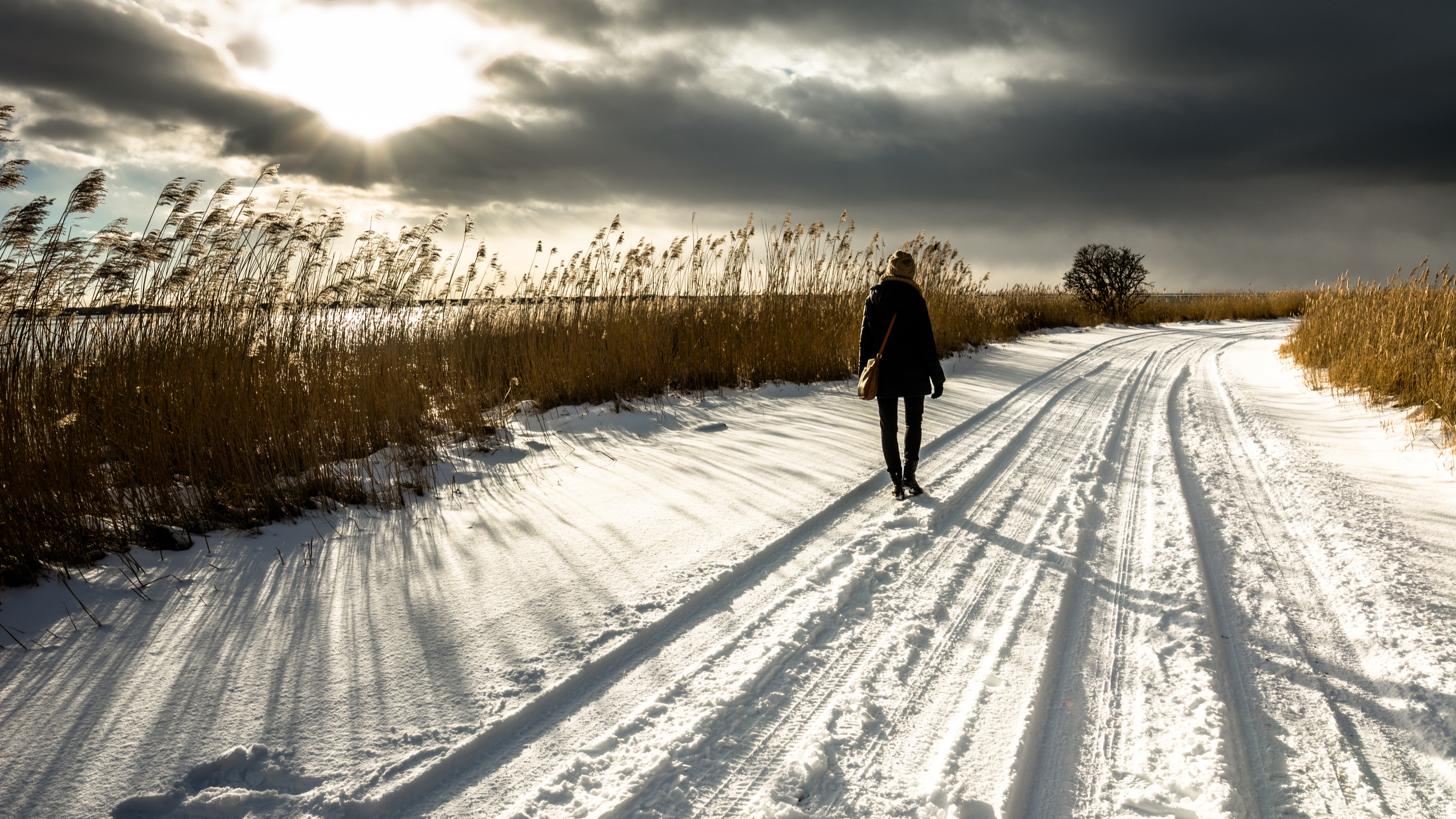 Wonkhe woman alone snowy landscape