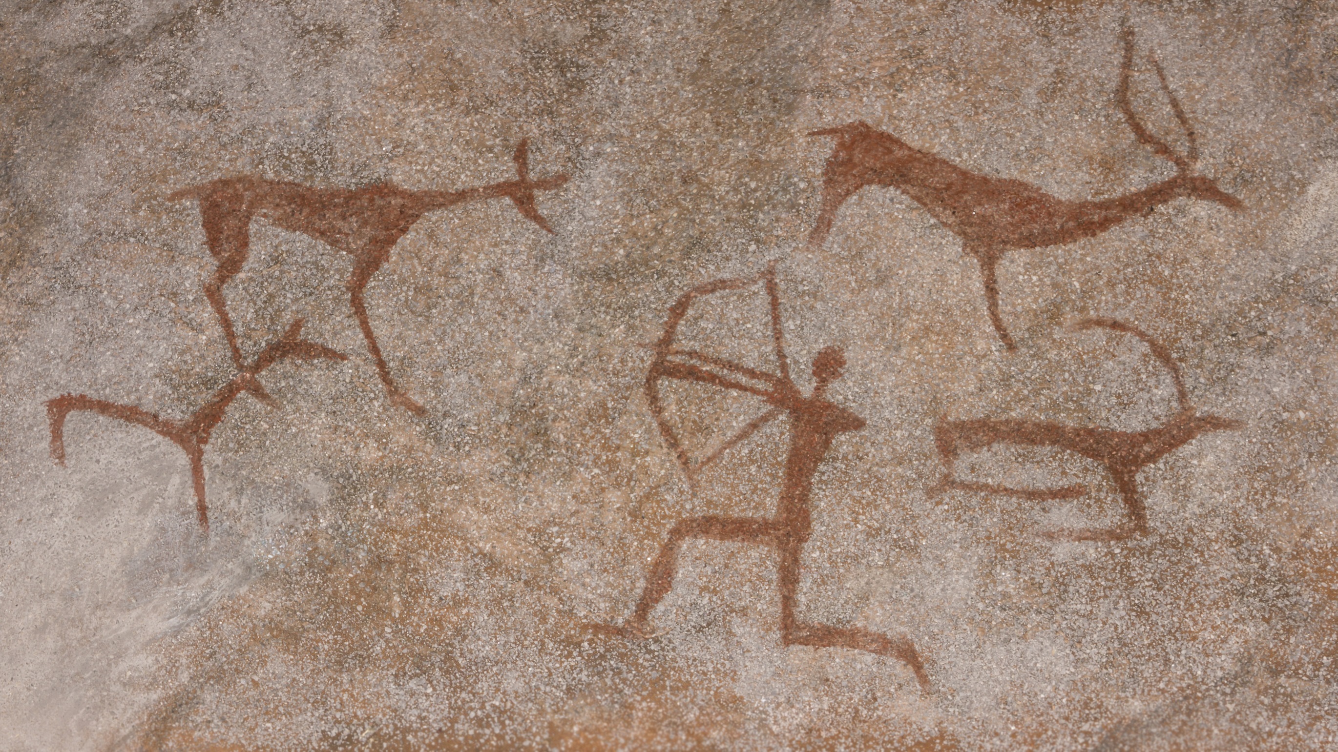 wonkhe-cave-painting