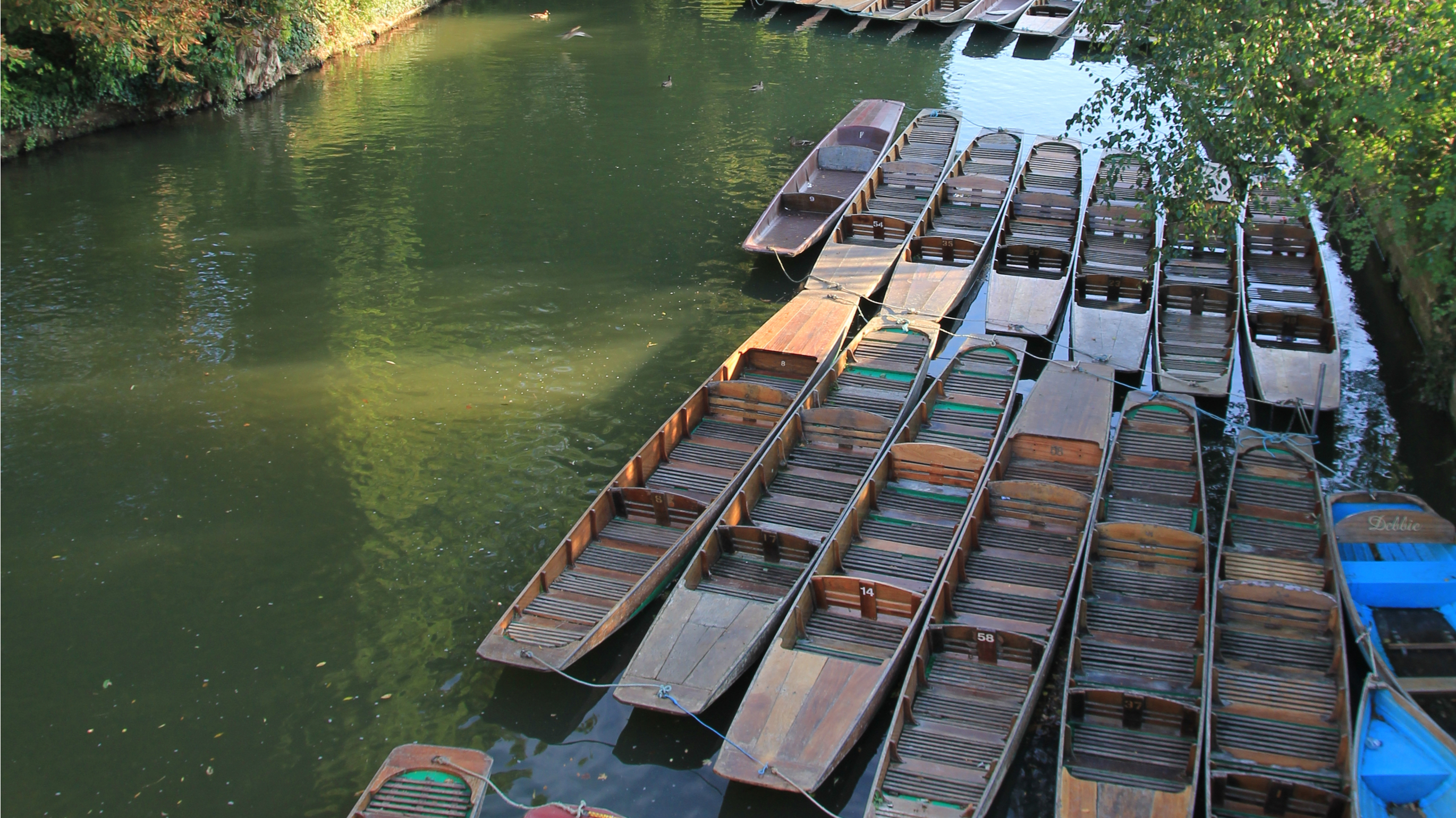 oxford silly punts wonkhe