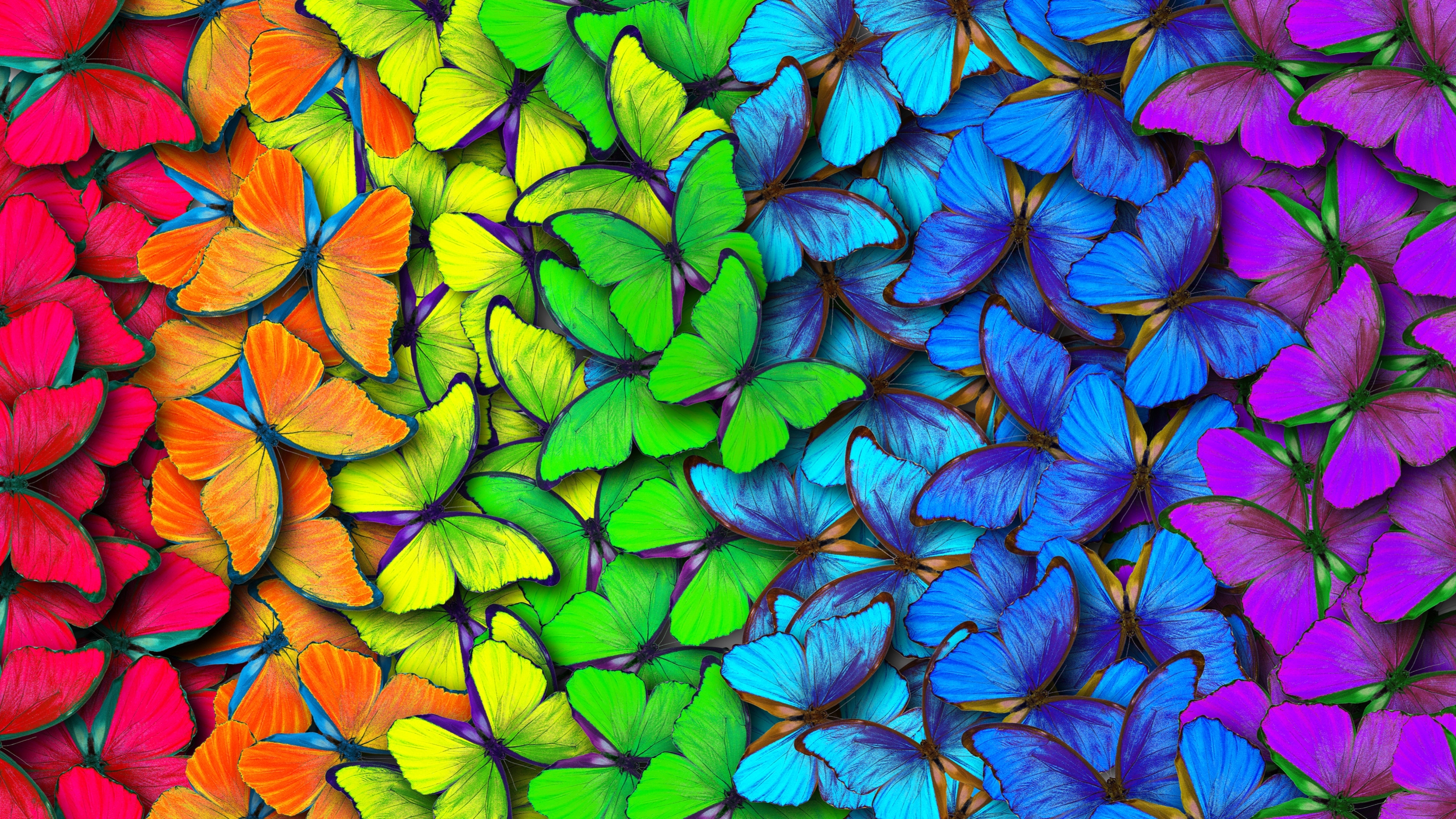 wonkhe butterflies diversity 2