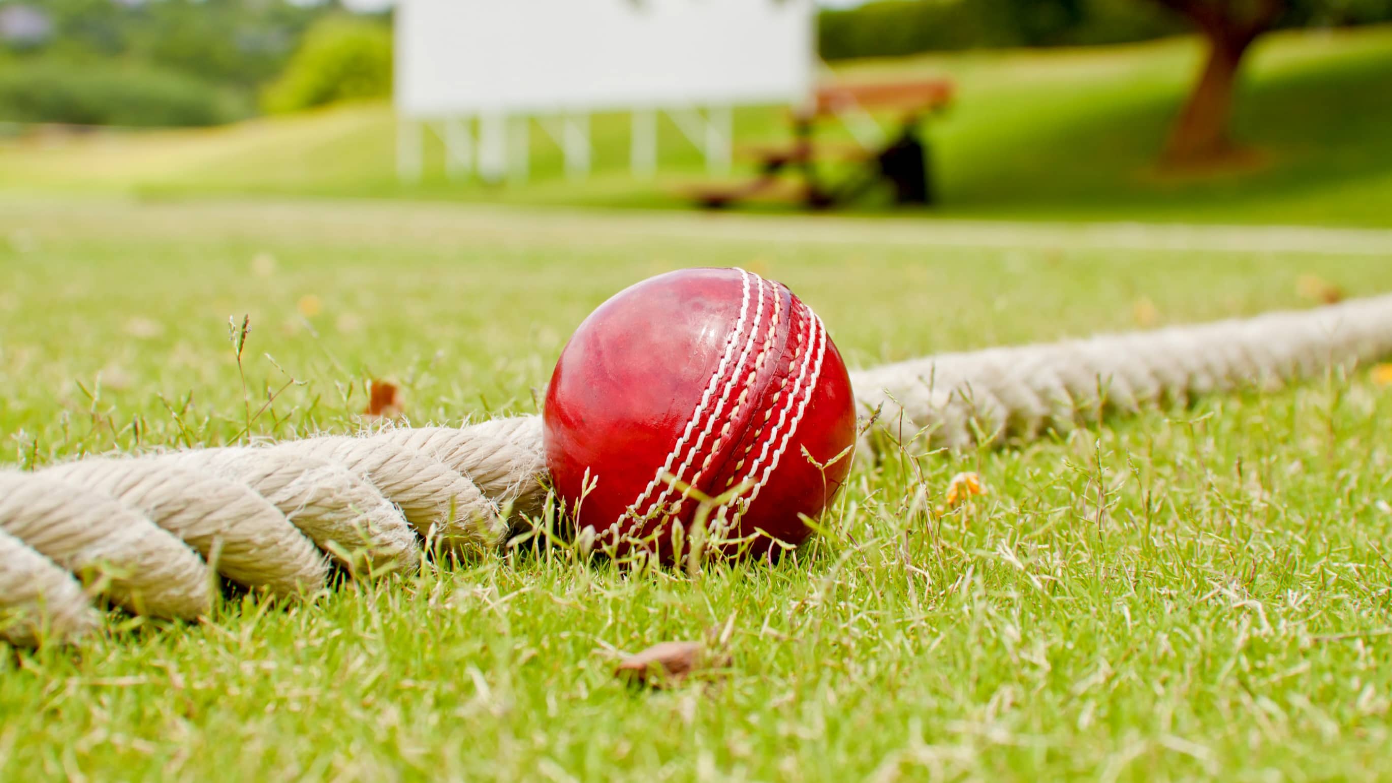 wonkhe-boundary-cricket