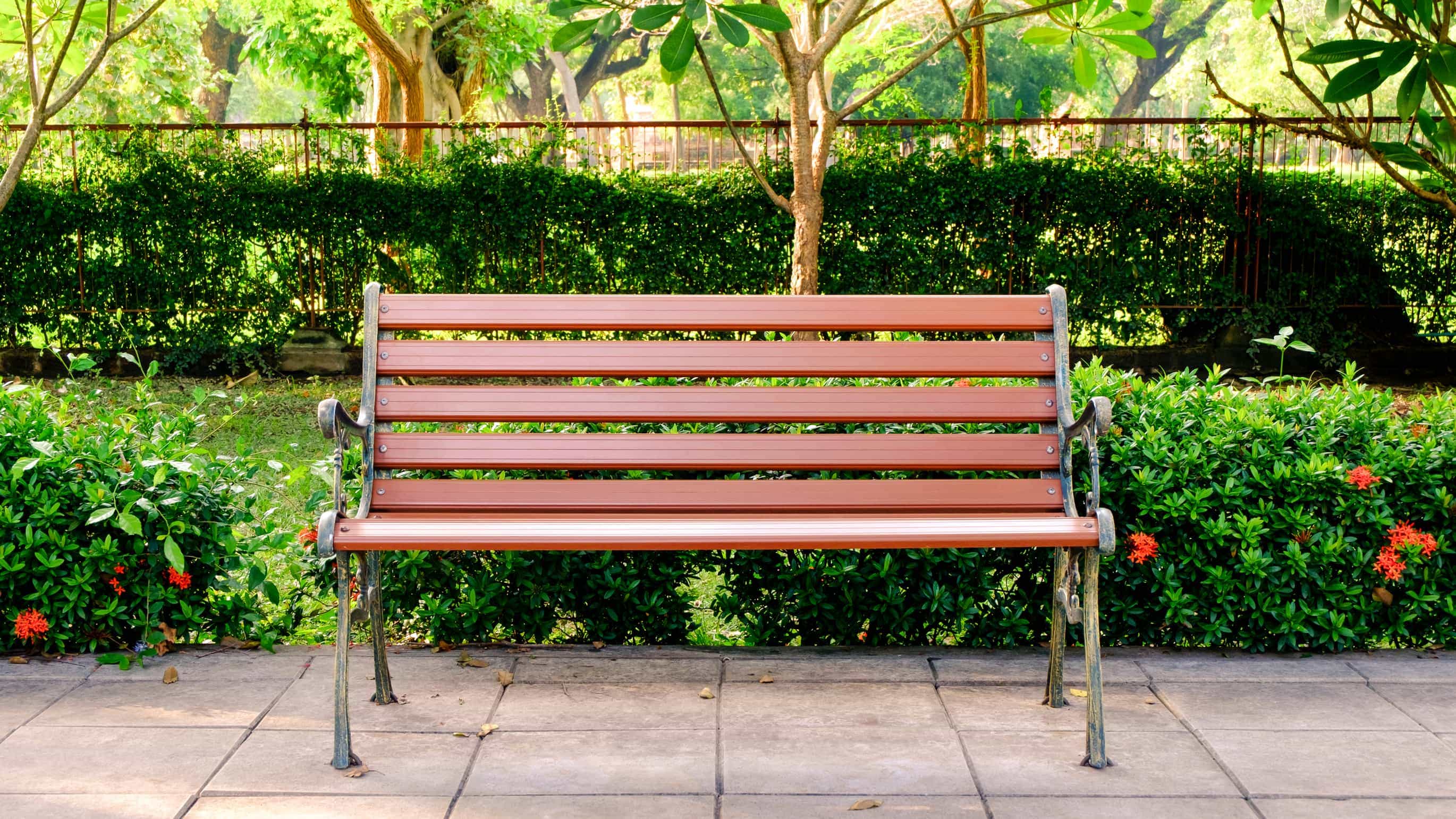 wonkhe-bench