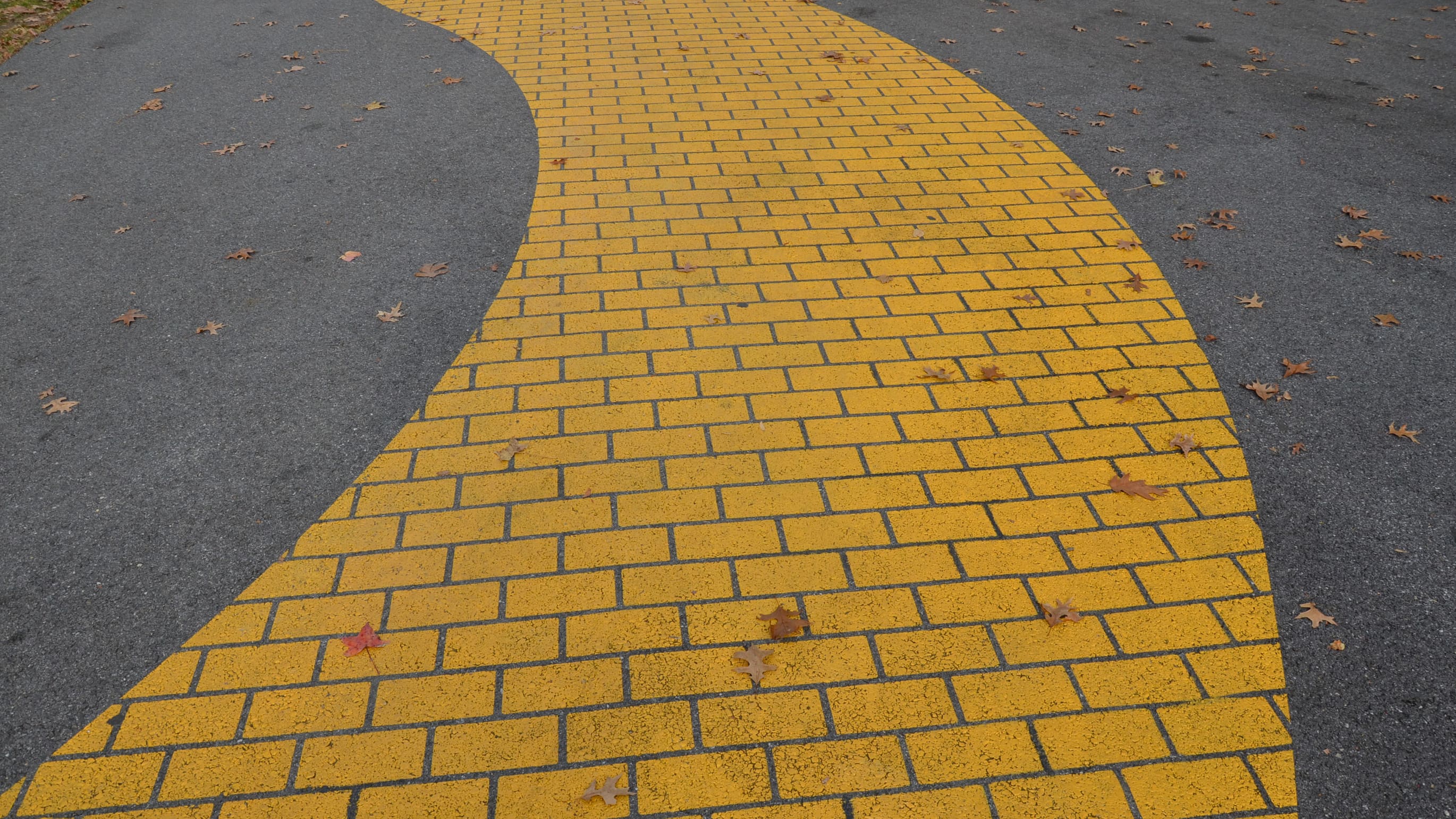 yellowbrickroad-wonkhe